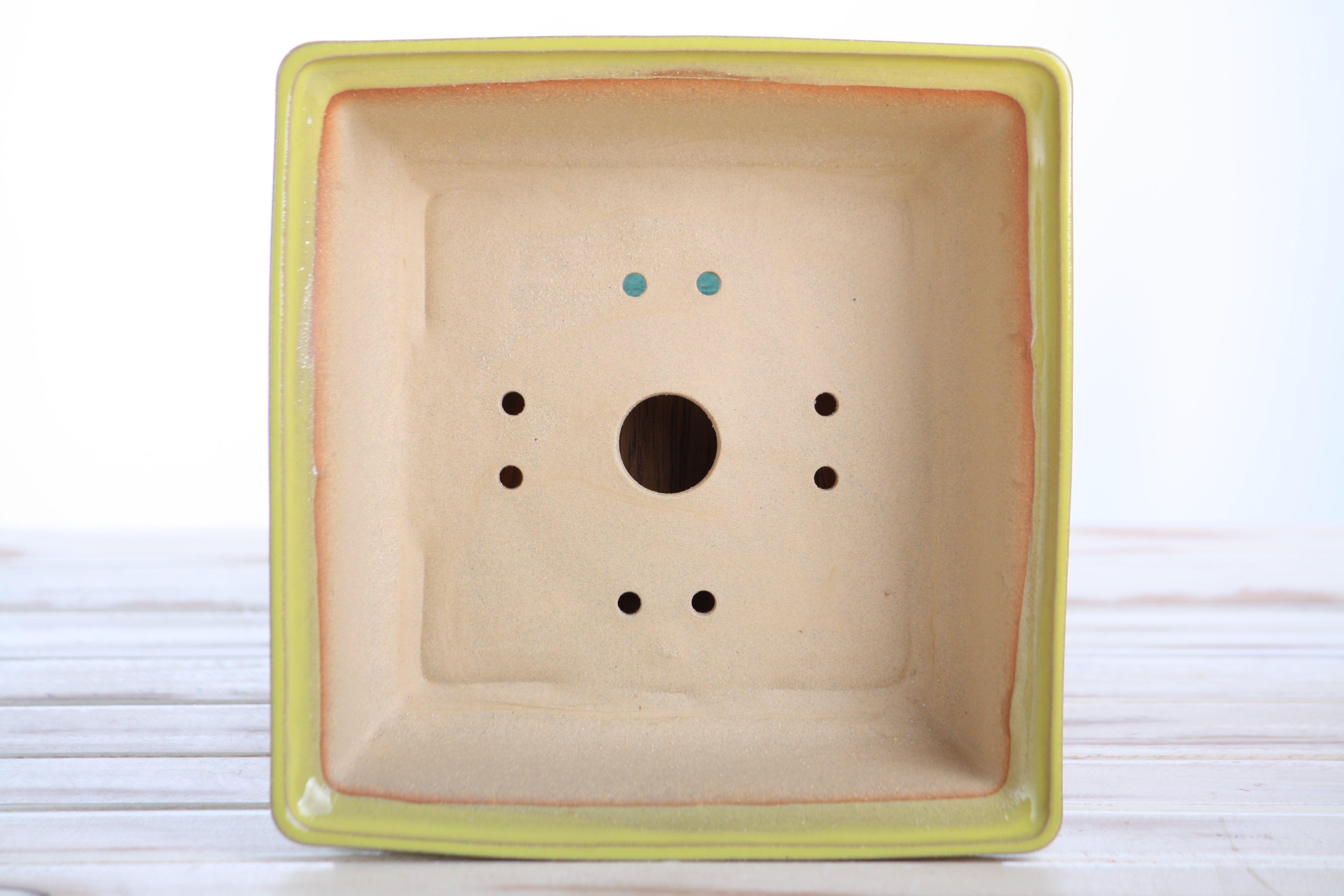 Willow Bonsai Ceramics Square Bonsai Pot 7 Inch – Yellow