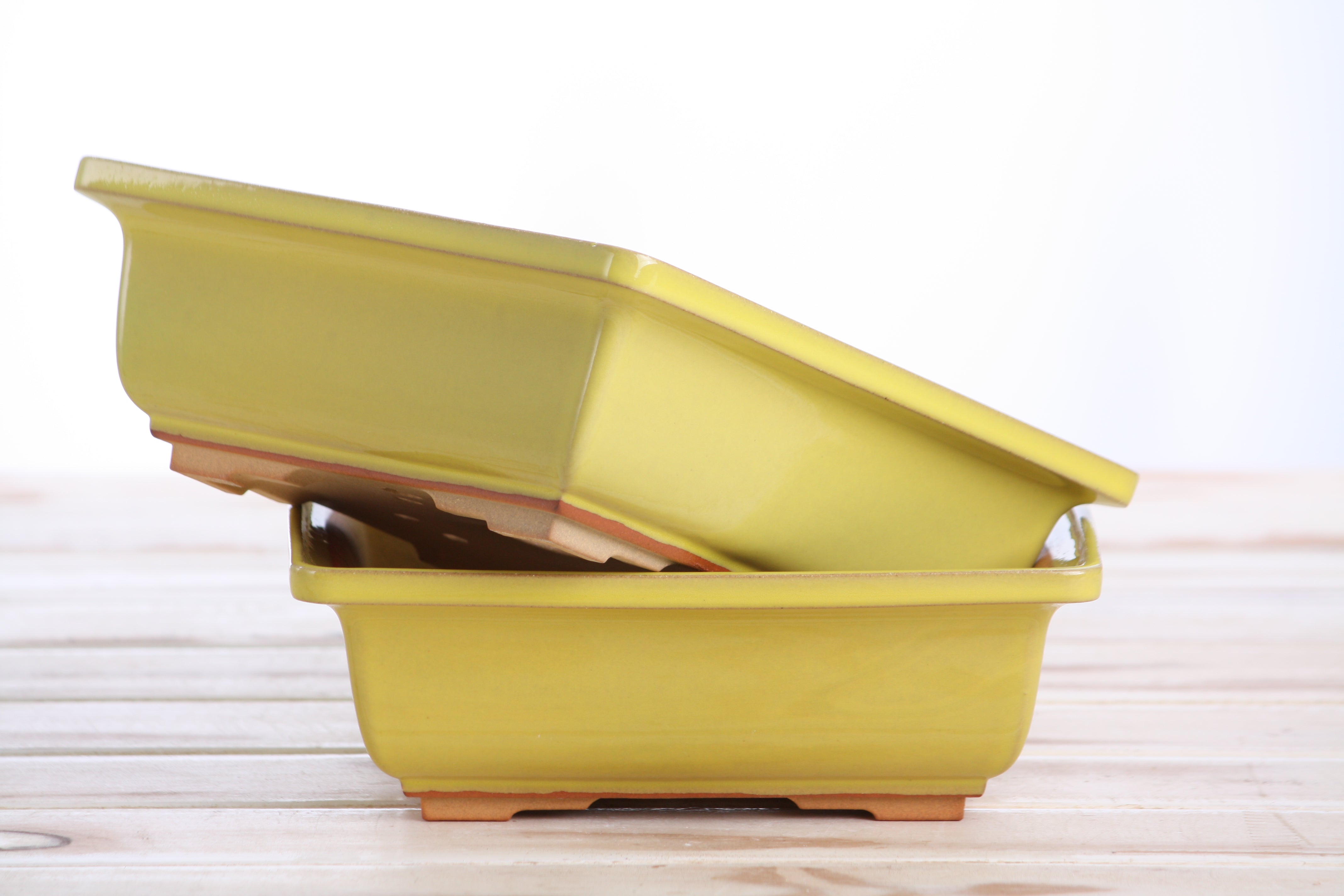 Willow Bonsai Ceramics Square Bonsai Pot 7 Inch – Yellow