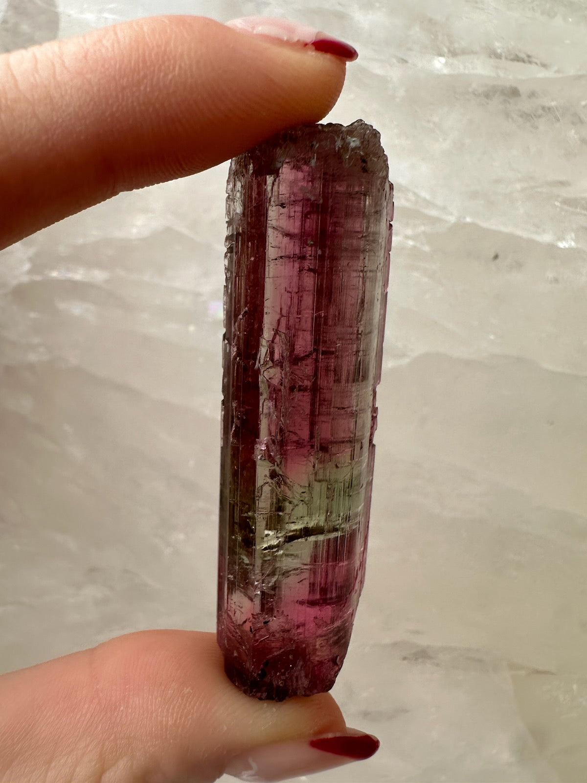 Watermelon Tourmaline from Brazil by Rare Earth Gallery - product image 6 for Resin Society