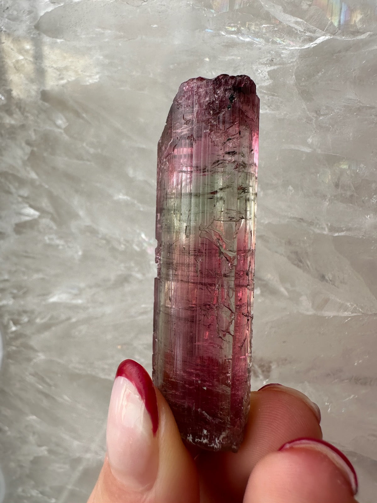 Watermelon Tourmaline from Brazil by Rare Earth Gallery - product image 10 for Resin Society