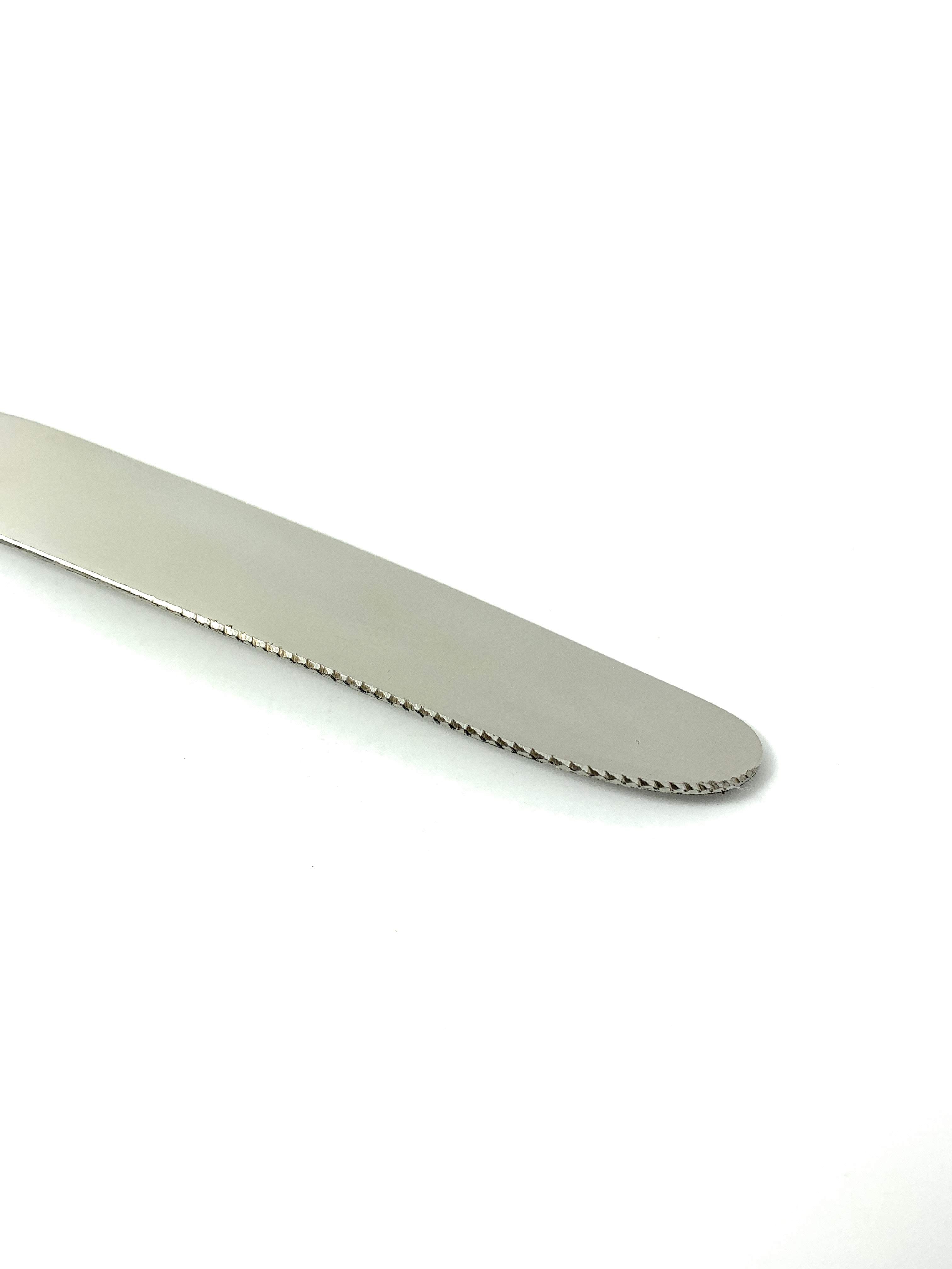 Vibhsa Golden Silverware Dinner Knives Set of 6