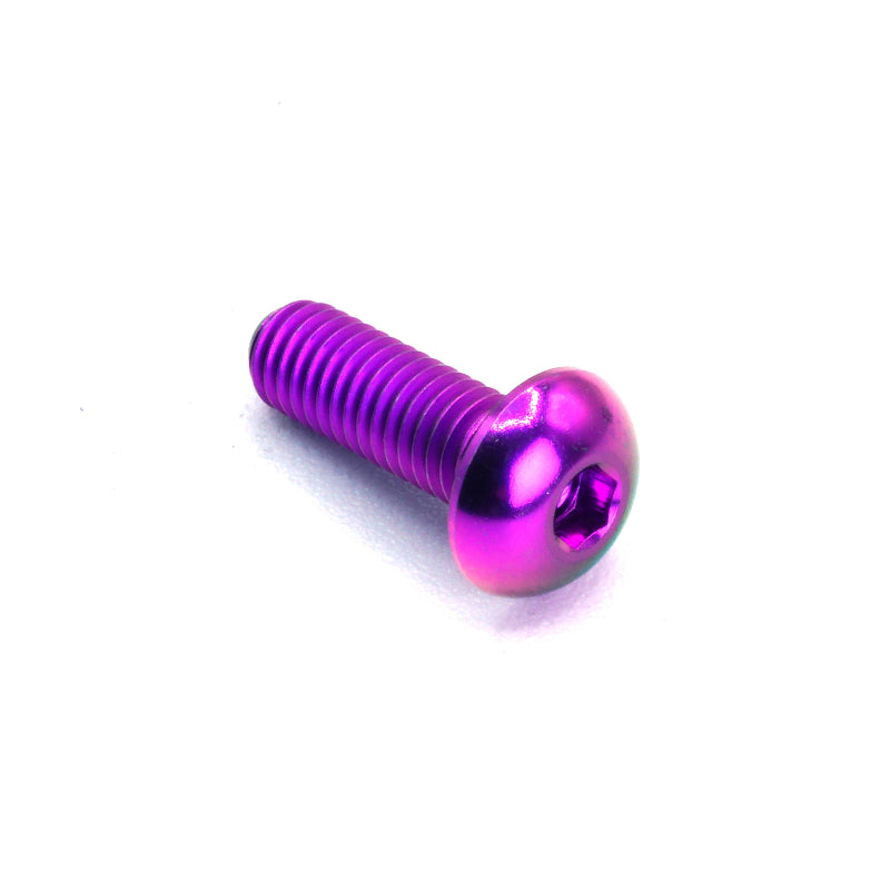 M5 x .8 x 15mm Titanium Button Head Bolt in Polished finish