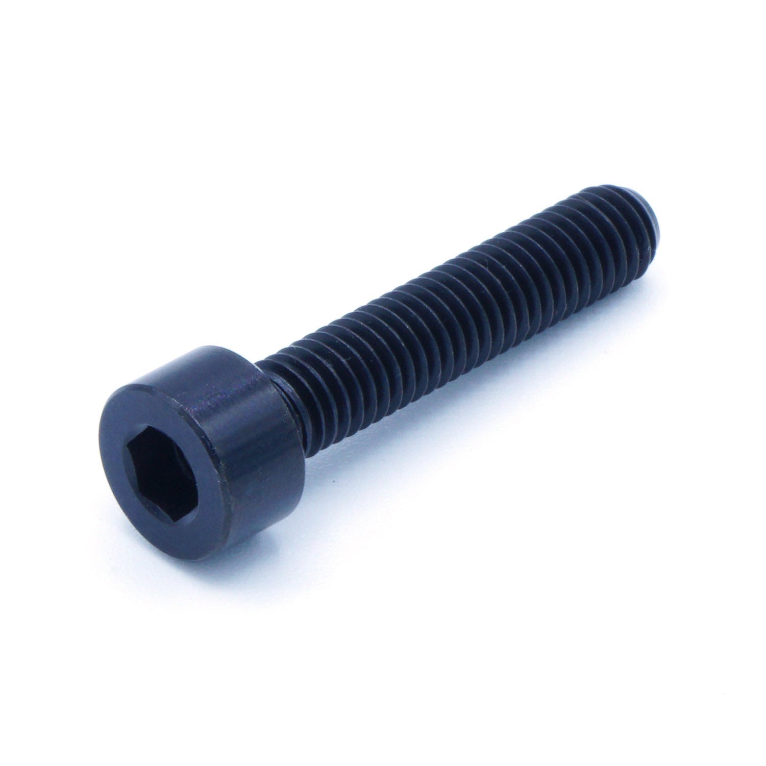 M5 x .8 x 25mm titanium socket cap bolt in polished finish