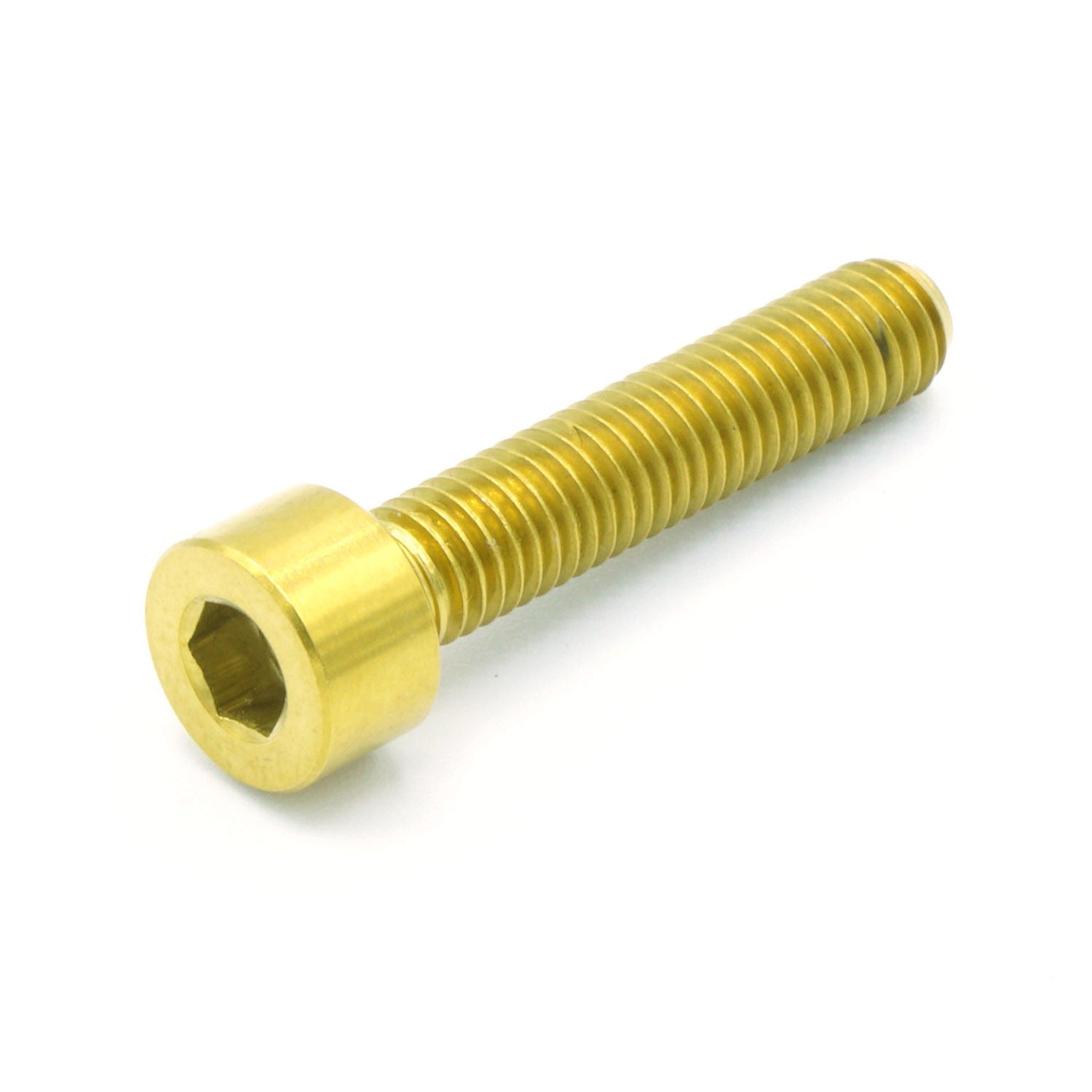 M5 x .8 x 25mm titanium socket cap bolt in polished finish