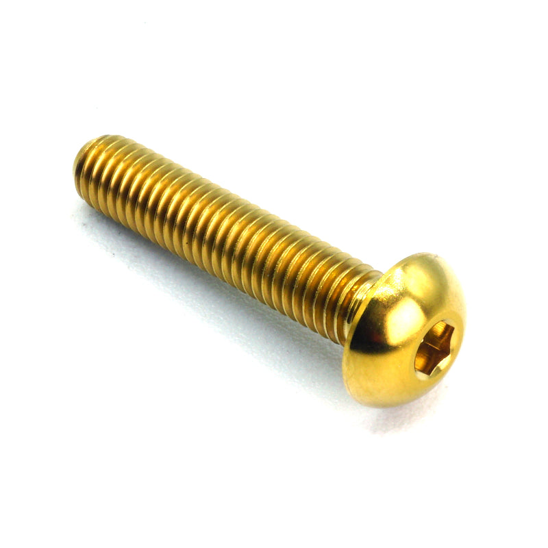 M5 x .8 x 25mm titanium button head bolt in polished finish