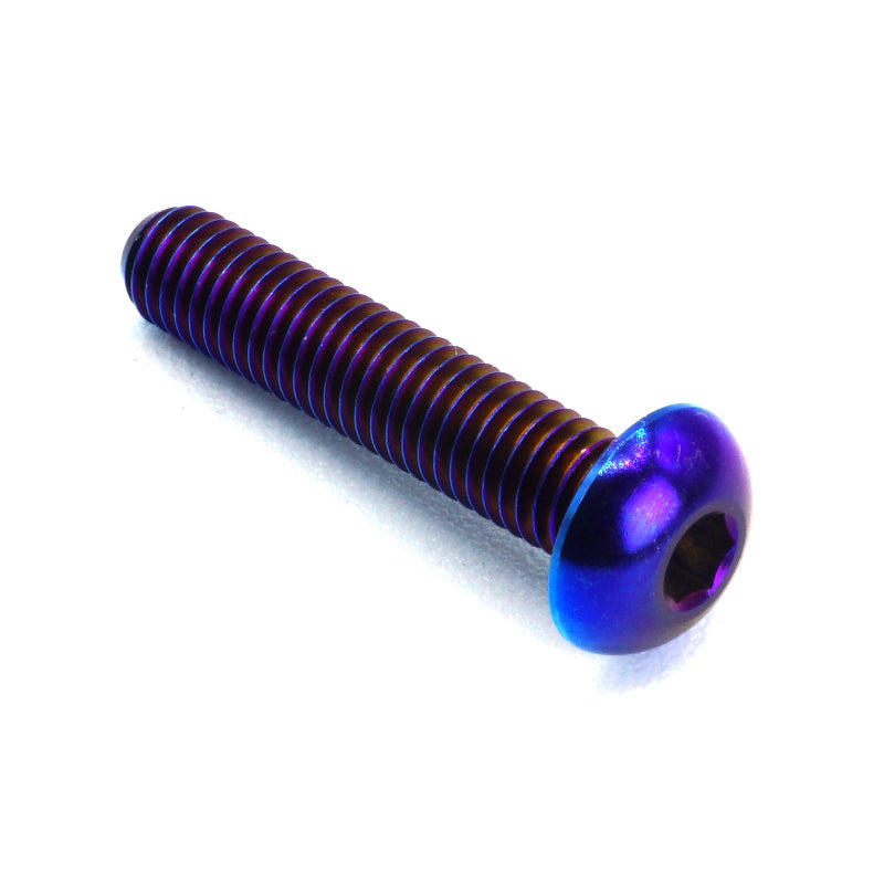 M5 x .8 x 25mm titanium button head bolt in polished finish