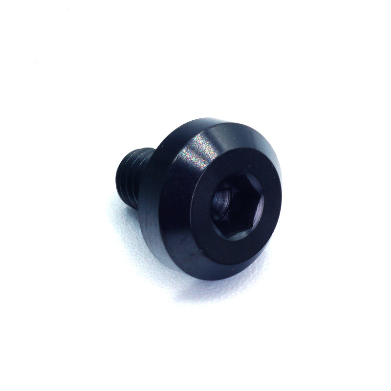 M6 x 1.00 x 10mm Titanium Motor Head Bolt in polished finish