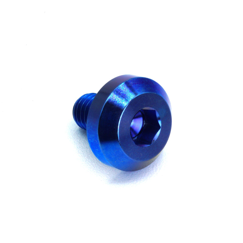 M6 x 1.00 x 10mm Titanium Motor Head Bolt in polished finish