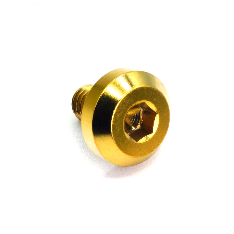 M6 x 1.00 x 10mm Titanium Motor Head Bolt in polished finish