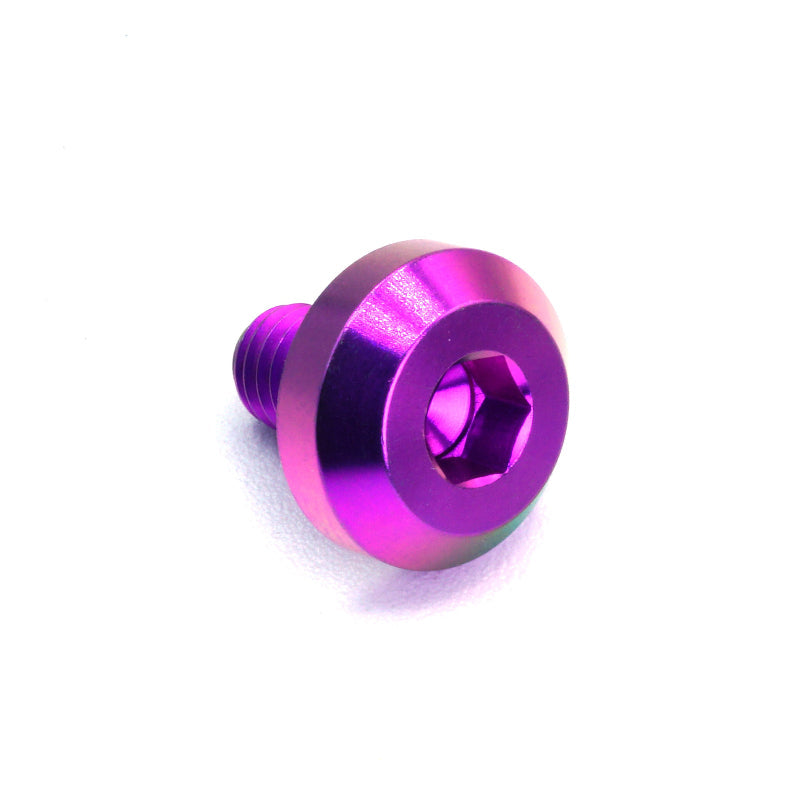 M6 x 1.00 x 10mm Titanium Motor Head Bolt in polished finish