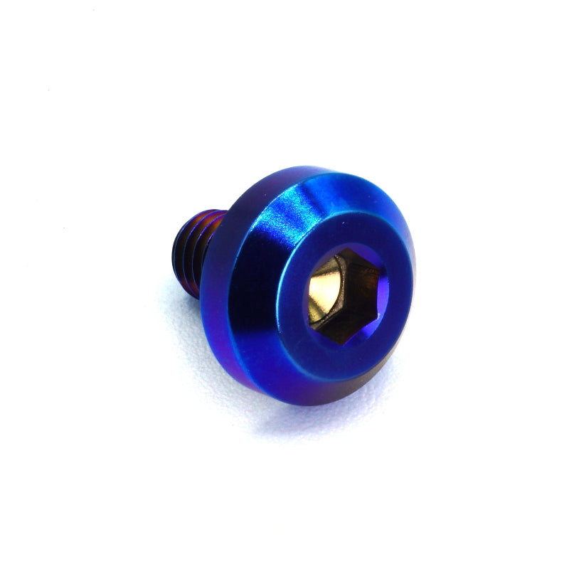 M6 x 1.00 x 10mm Titanium Motor Head Bolt in polished finish