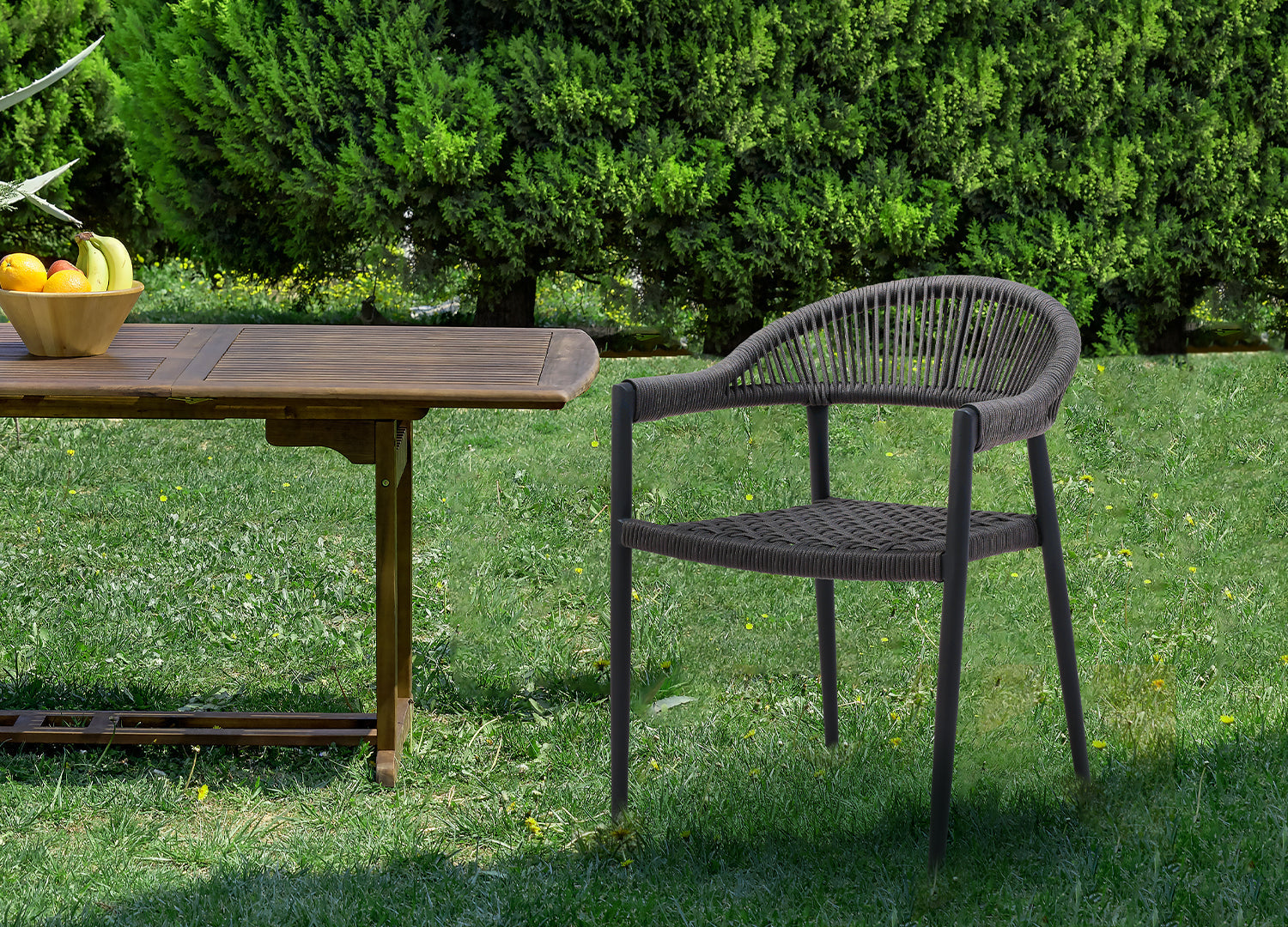 Leyla Outdoor Dining Armchair Set of 4 detail image - Resin Society
