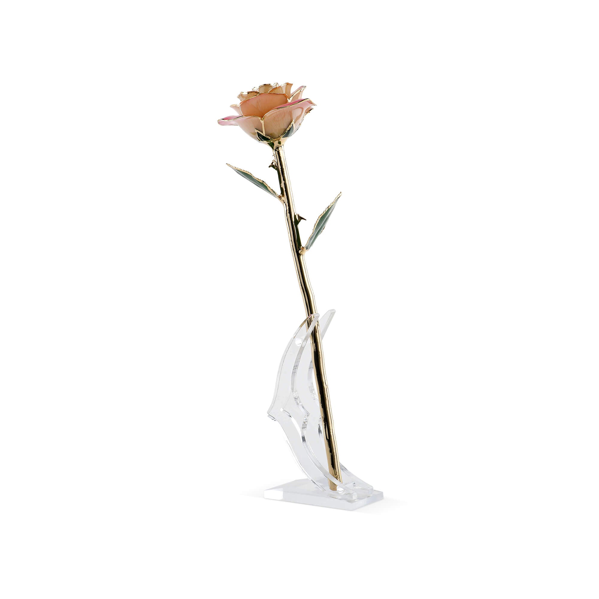 Timeless Rose Light Pink, preserved rose dipped in 24K gold displayed on a white surface