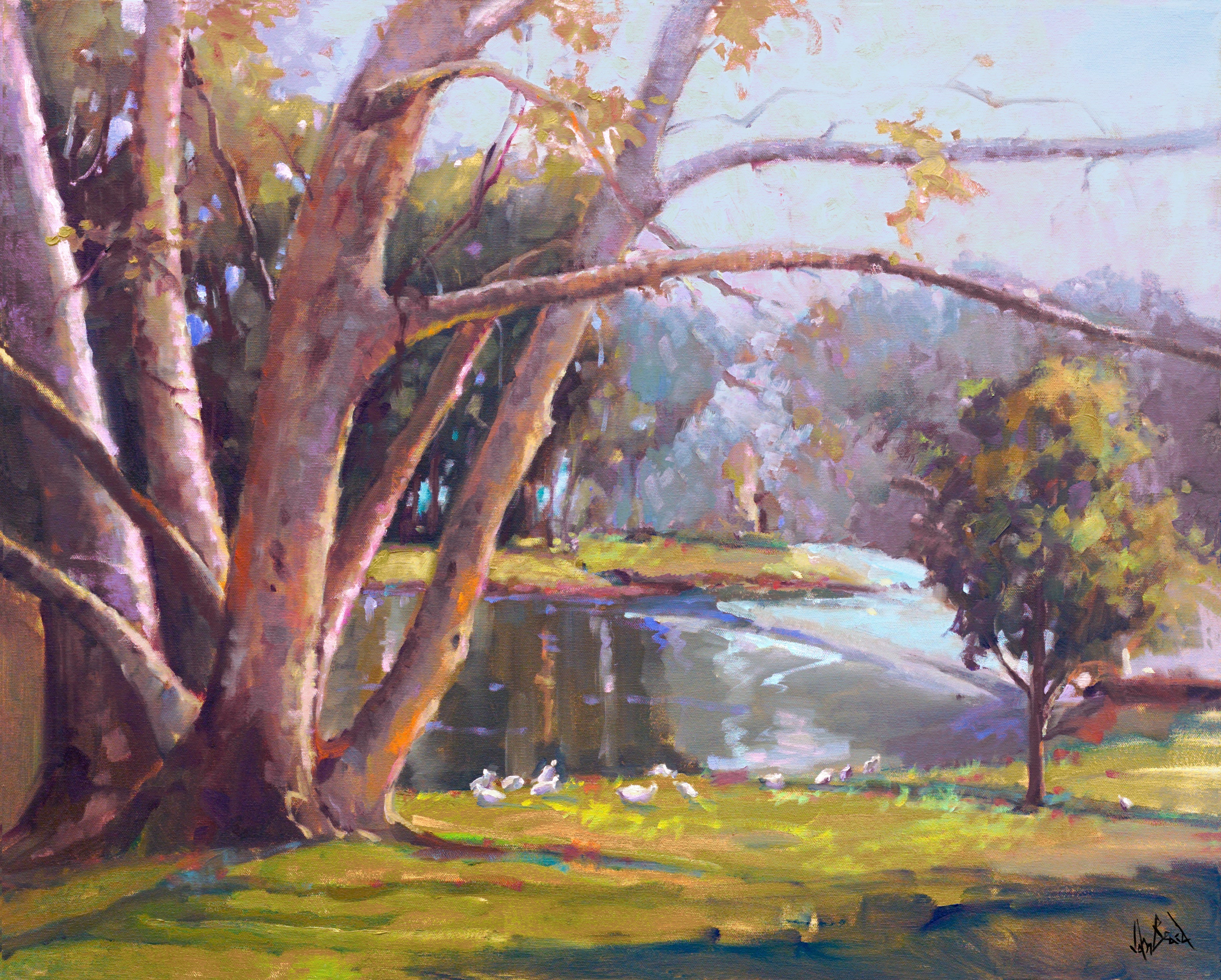 Looking Over Artist Enhanced Canvas Print by John Beard Collection - main product image for Resin Society