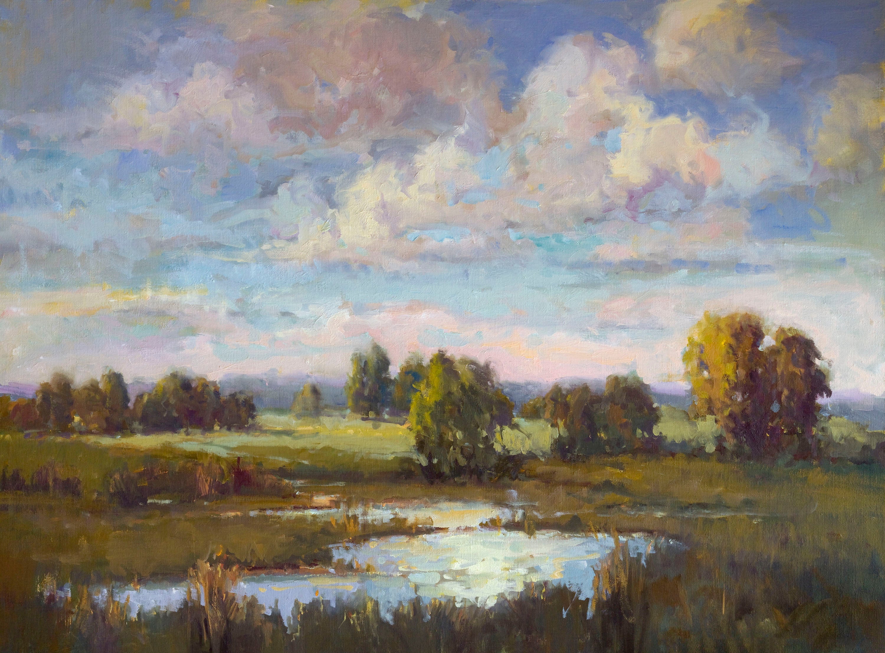 Low Country Daybreak Artist Enhanced Canvas Print by John Beard Collection - main product image for Resin Society