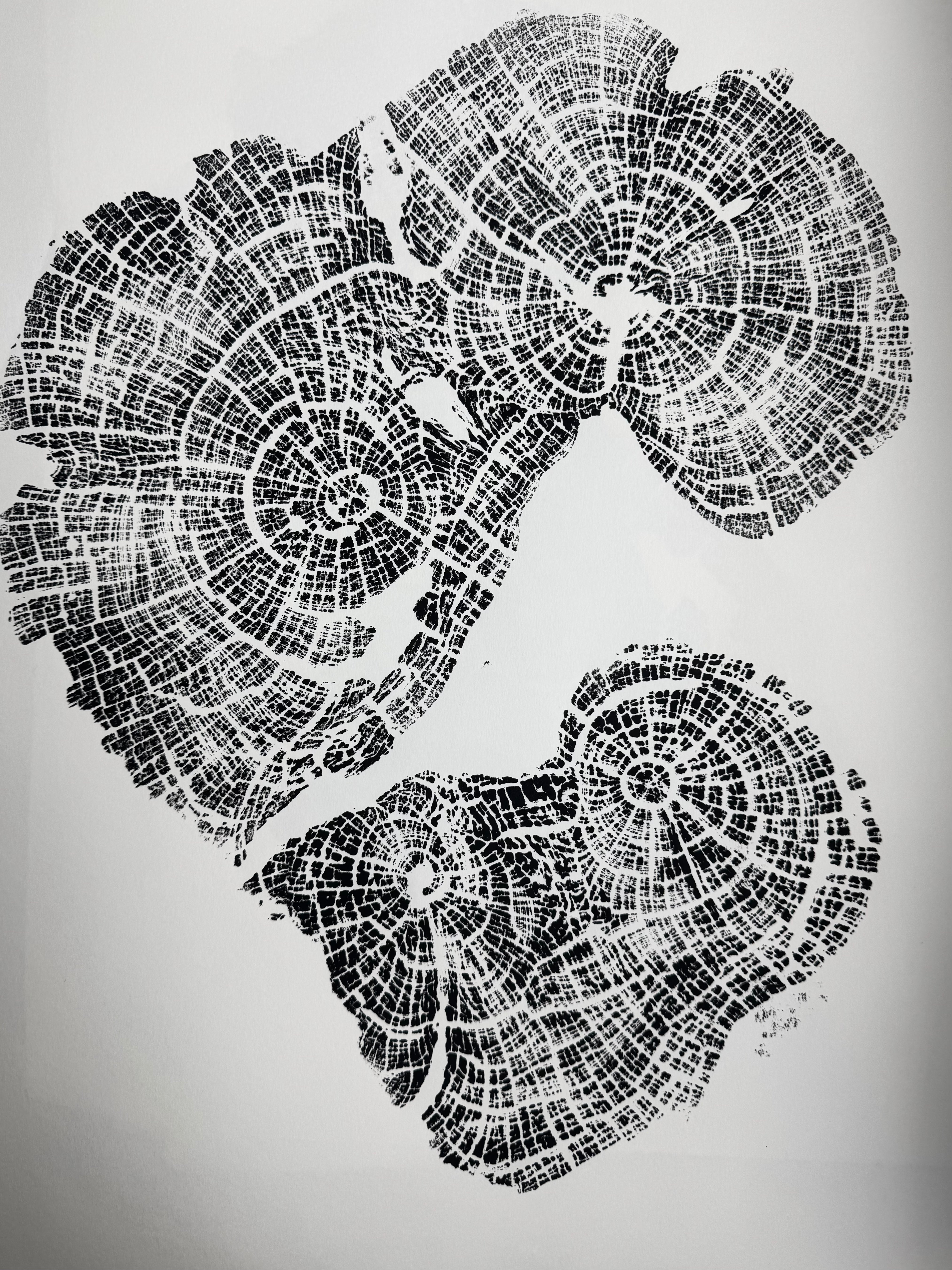 Old Growth Juniper Tree Ring Print – Boulder, Utah, 24x36 hand-printed woodcut artwork signed by artist
