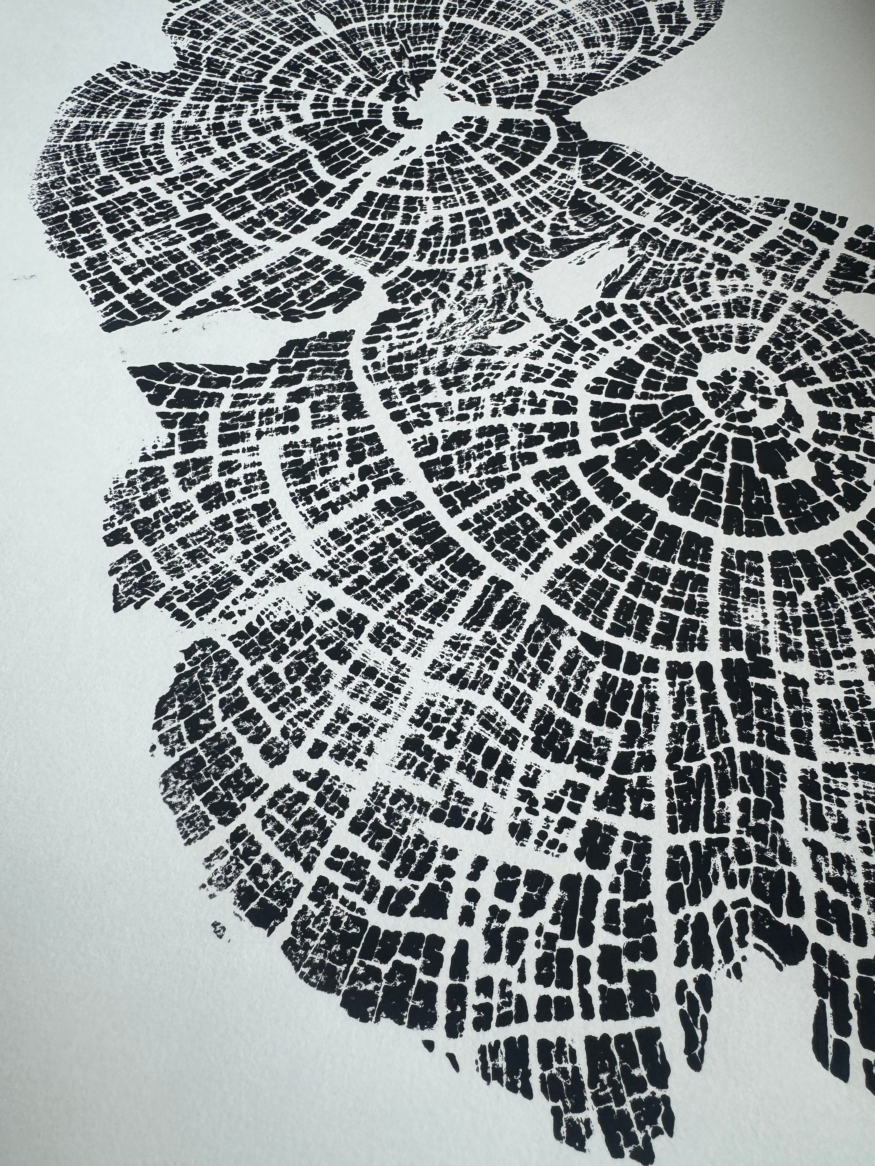 Old Growth Juniper Tree Ring Print – Boulder, Utah (Grand Staircase) – 24x36 Original Signed