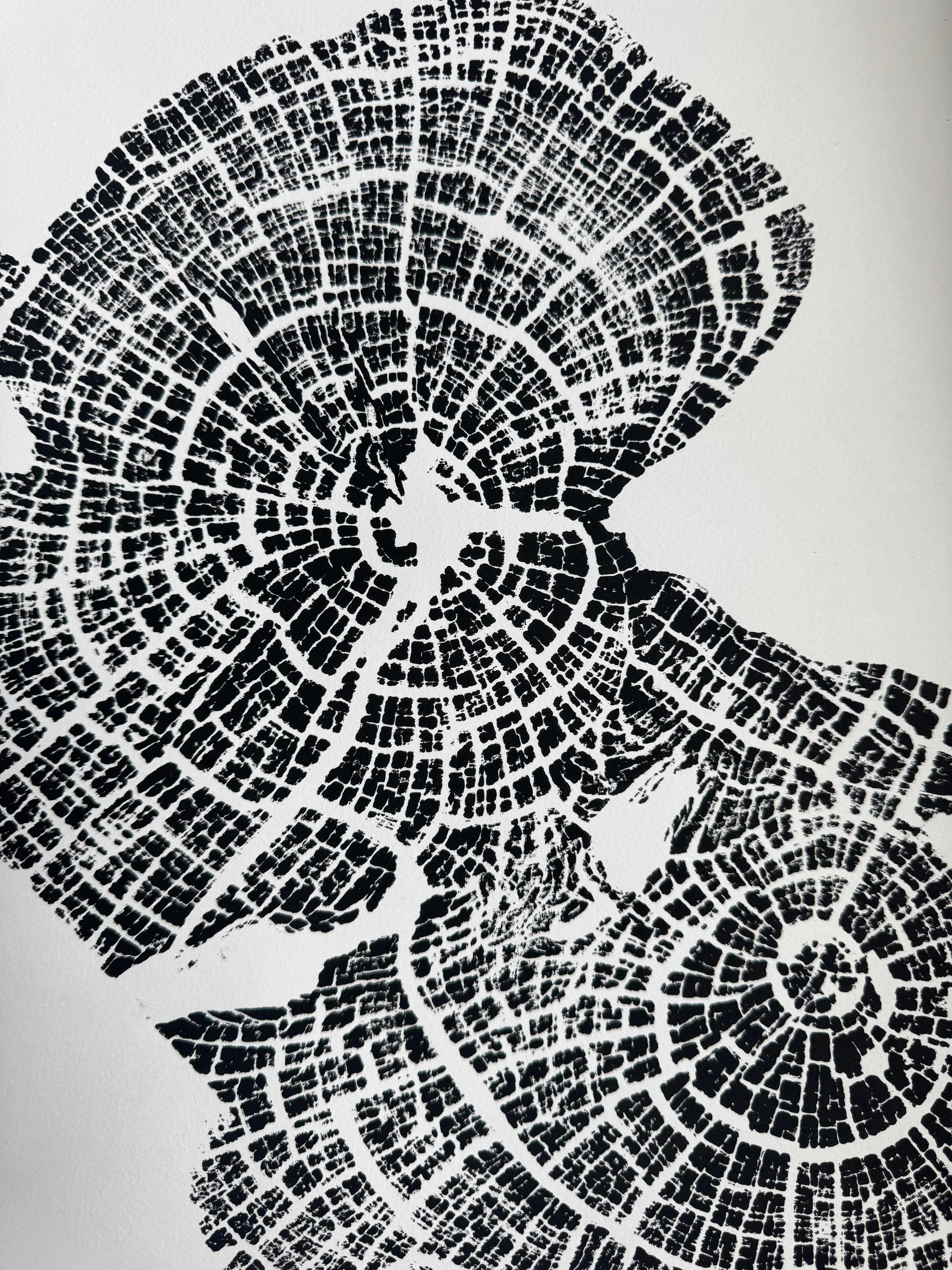 Old Growth Juniper Tree Ring Print – Boulder, Utah (Grand Staircase) – 24x36 Original Signed
