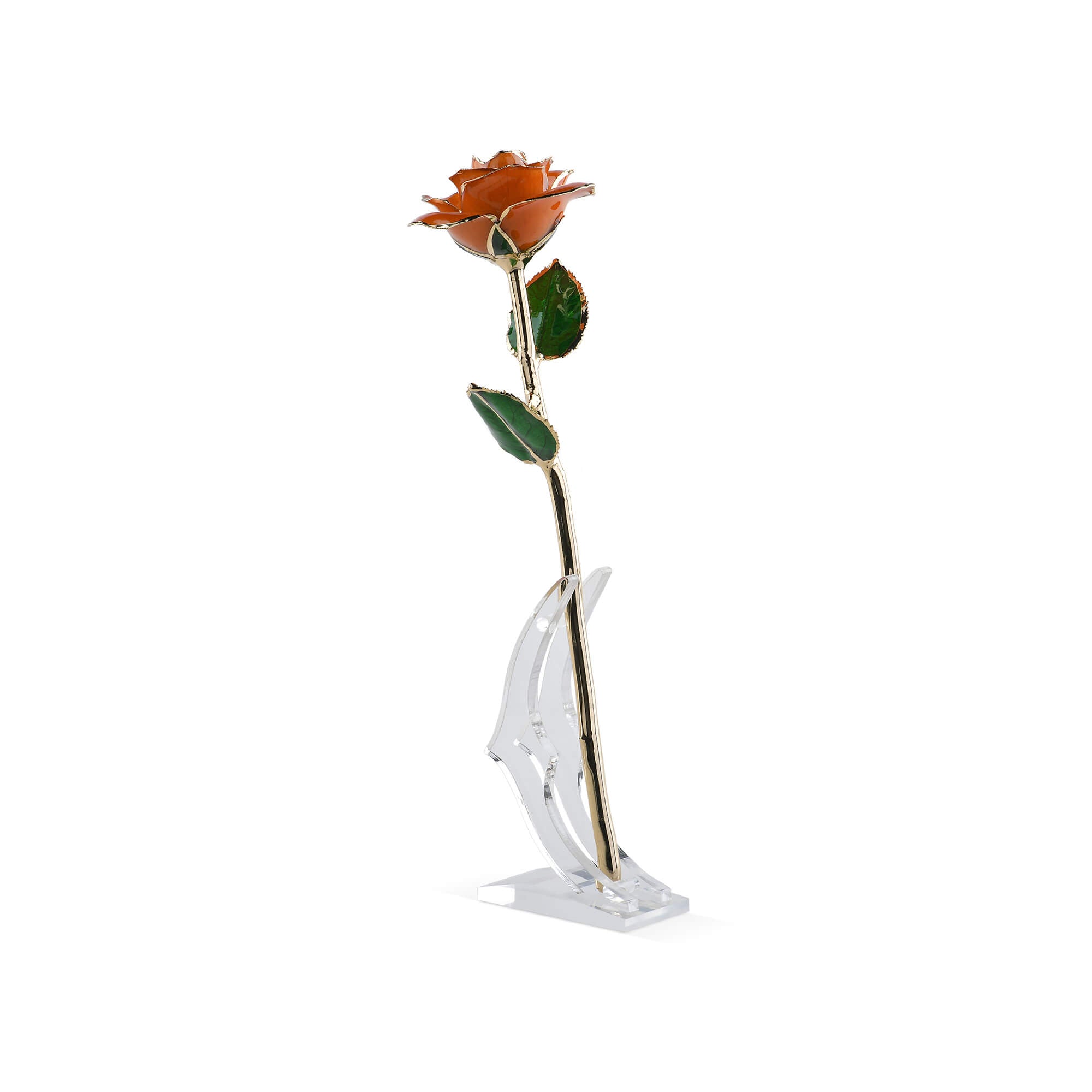Timeless Rose (Orange) preserved real rose with 24k gold coating displayed upright on a clear stand