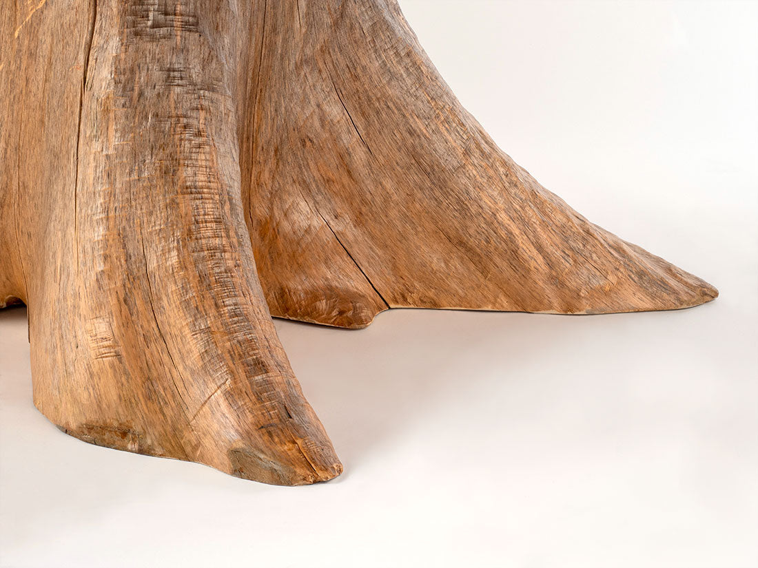 Silver Maple w/ Northern White Cedar Stump by Enrico Bartolini - product image 4 for Resin Society