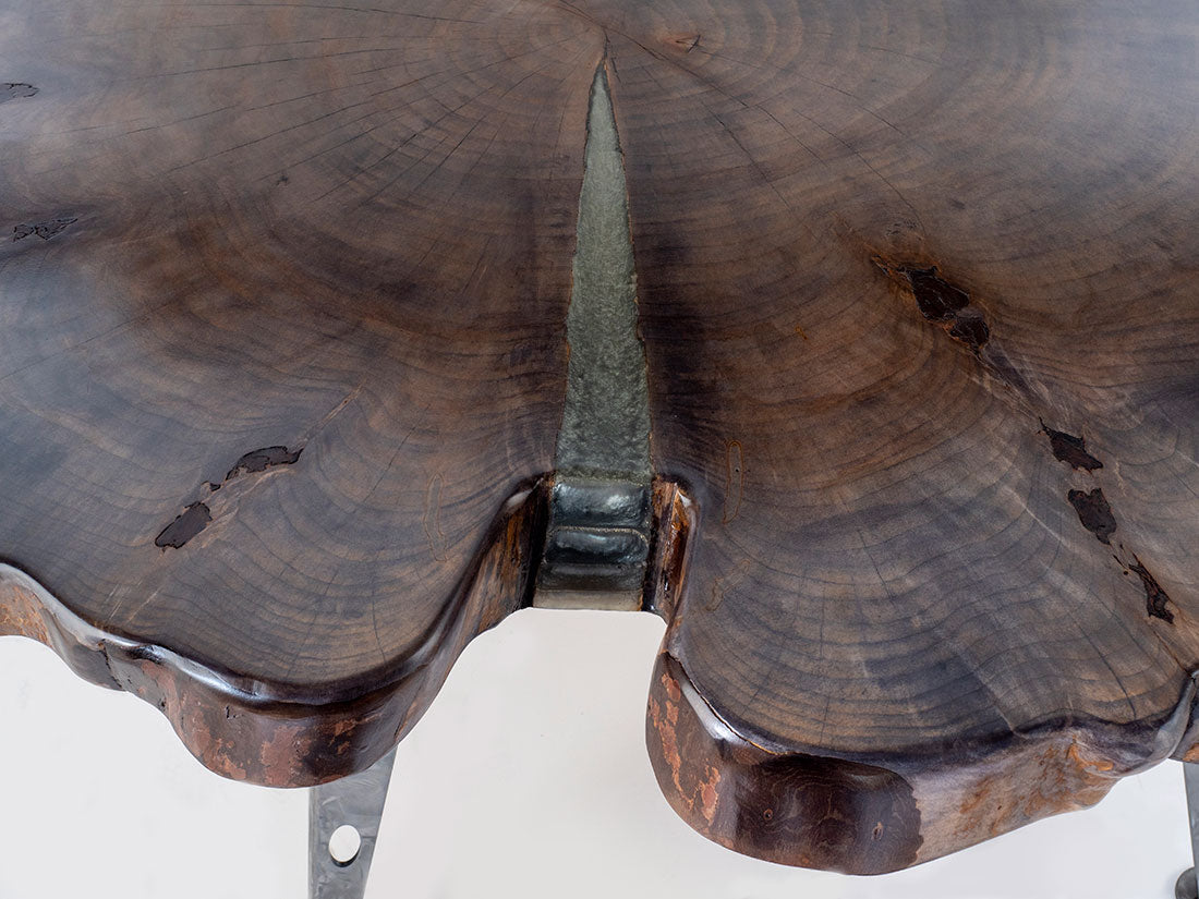 Silver Maple w/ EB Oval Legs by Enrico Bartolini - product image 3 for Resin Society