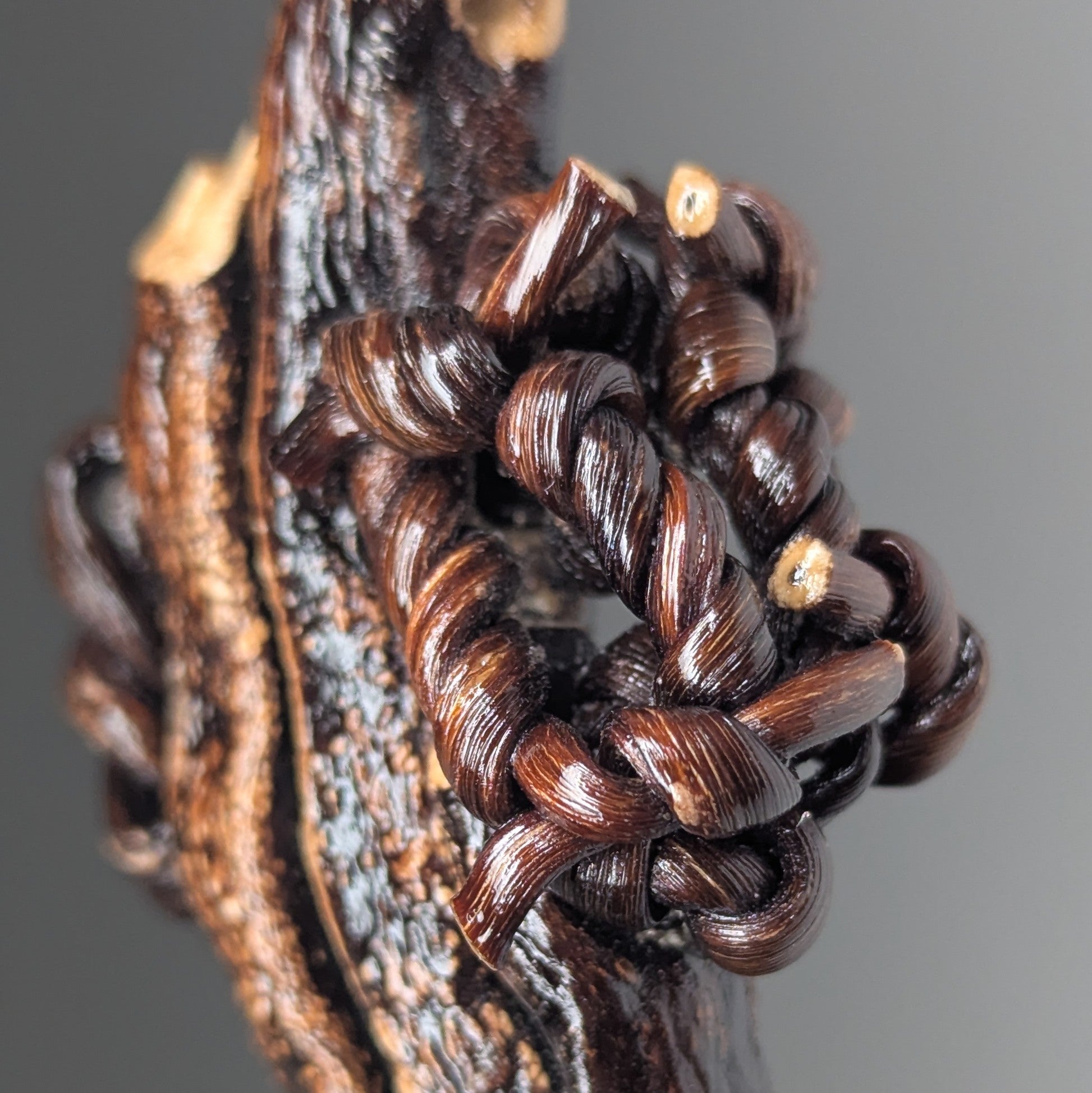 Padocystis by Versiliy - product image 2 for Resin Society