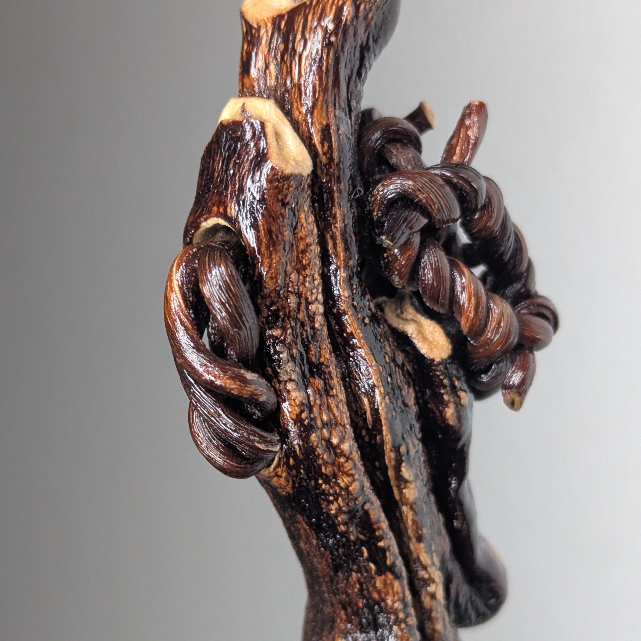 Padocystis by Versiliy - product image 4 for Resin Society