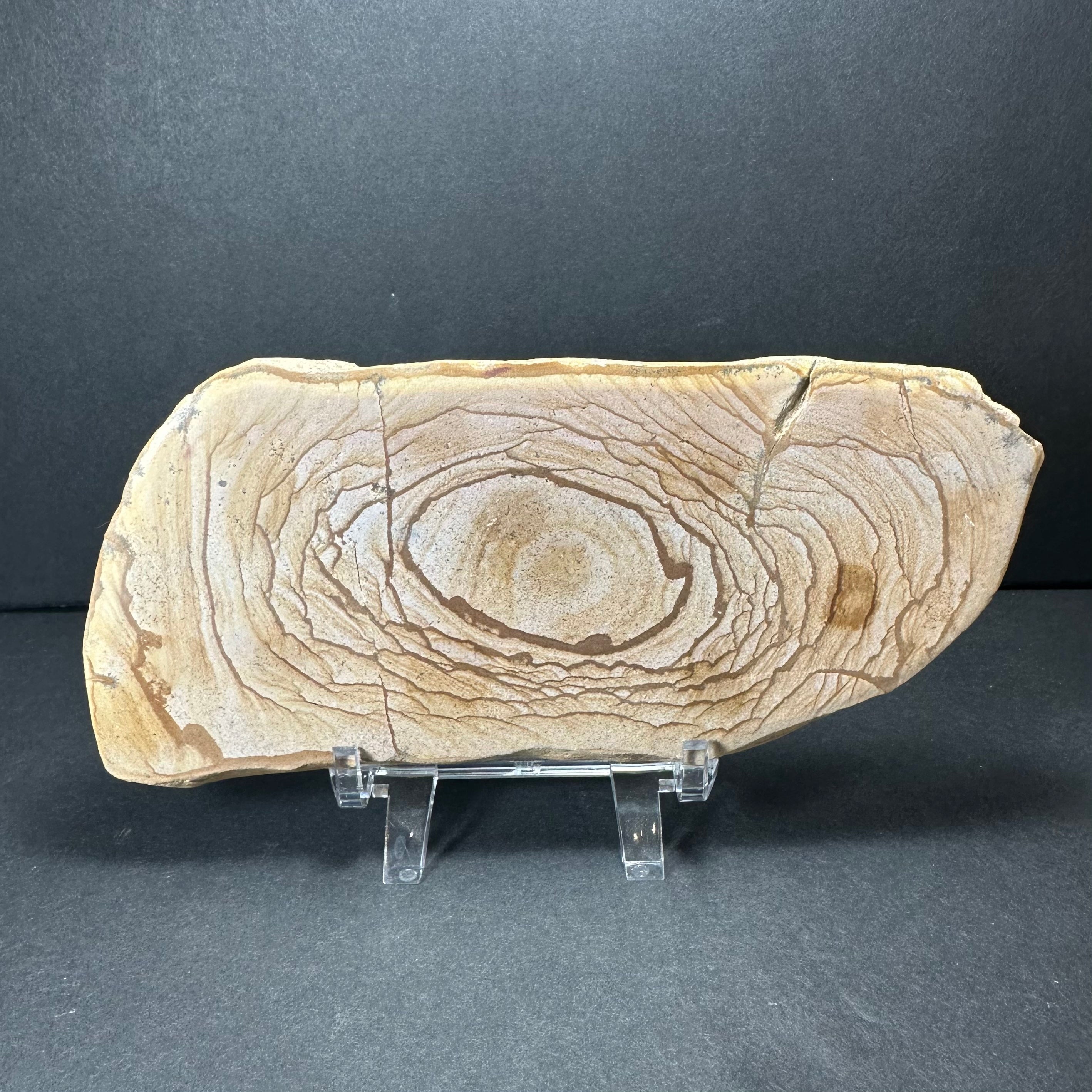 Picture Jasper Plate (L) from Morocco