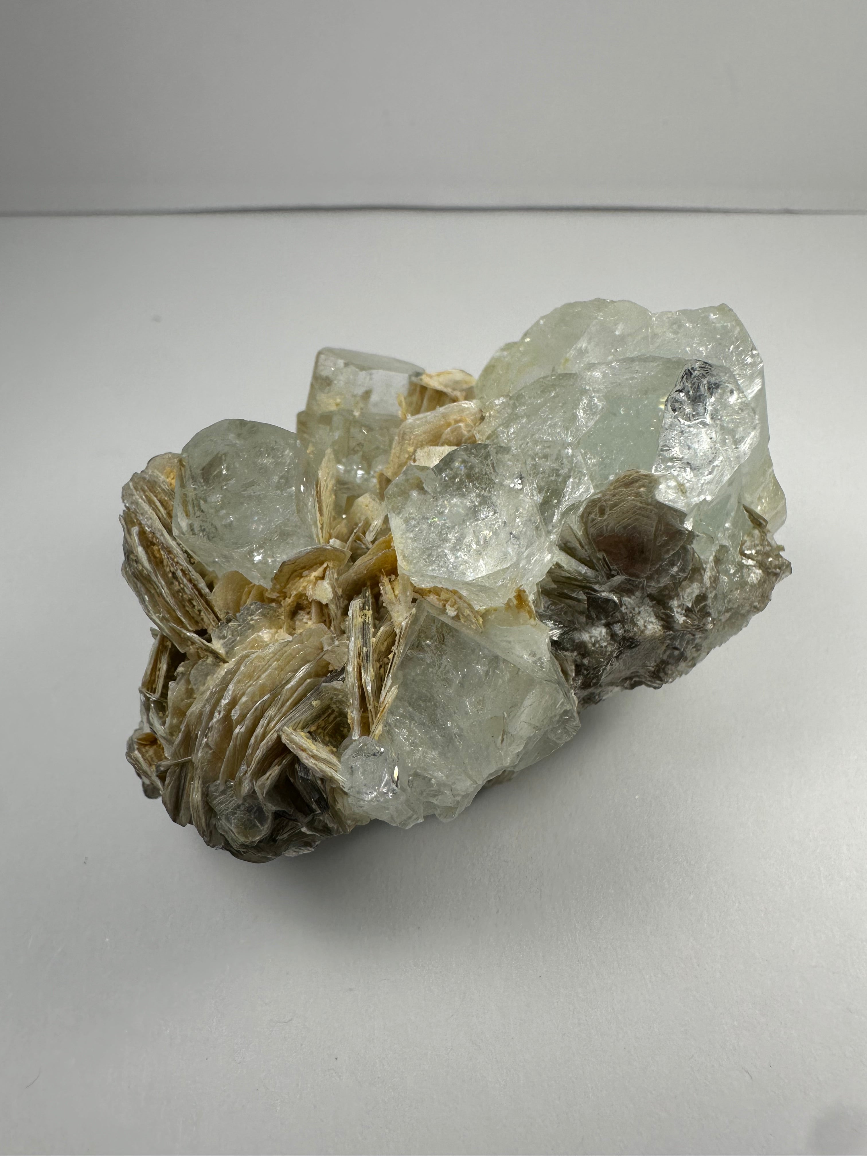 Close-up image of Aquamarine with Muscovite mineral specimen from Shigar Valley, Skardu, Pakistan, showing blue aquamarine crystals on silvery muscovite matrix.