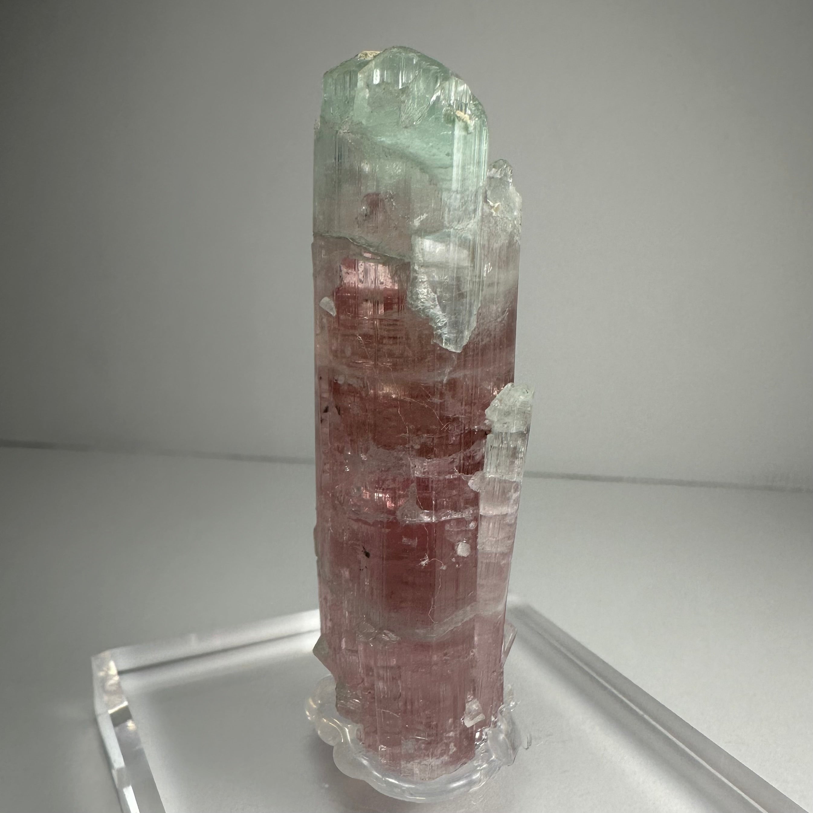 Watermelon Tourmaline by Rare Earth Gallery - product image 2 for Resin Society