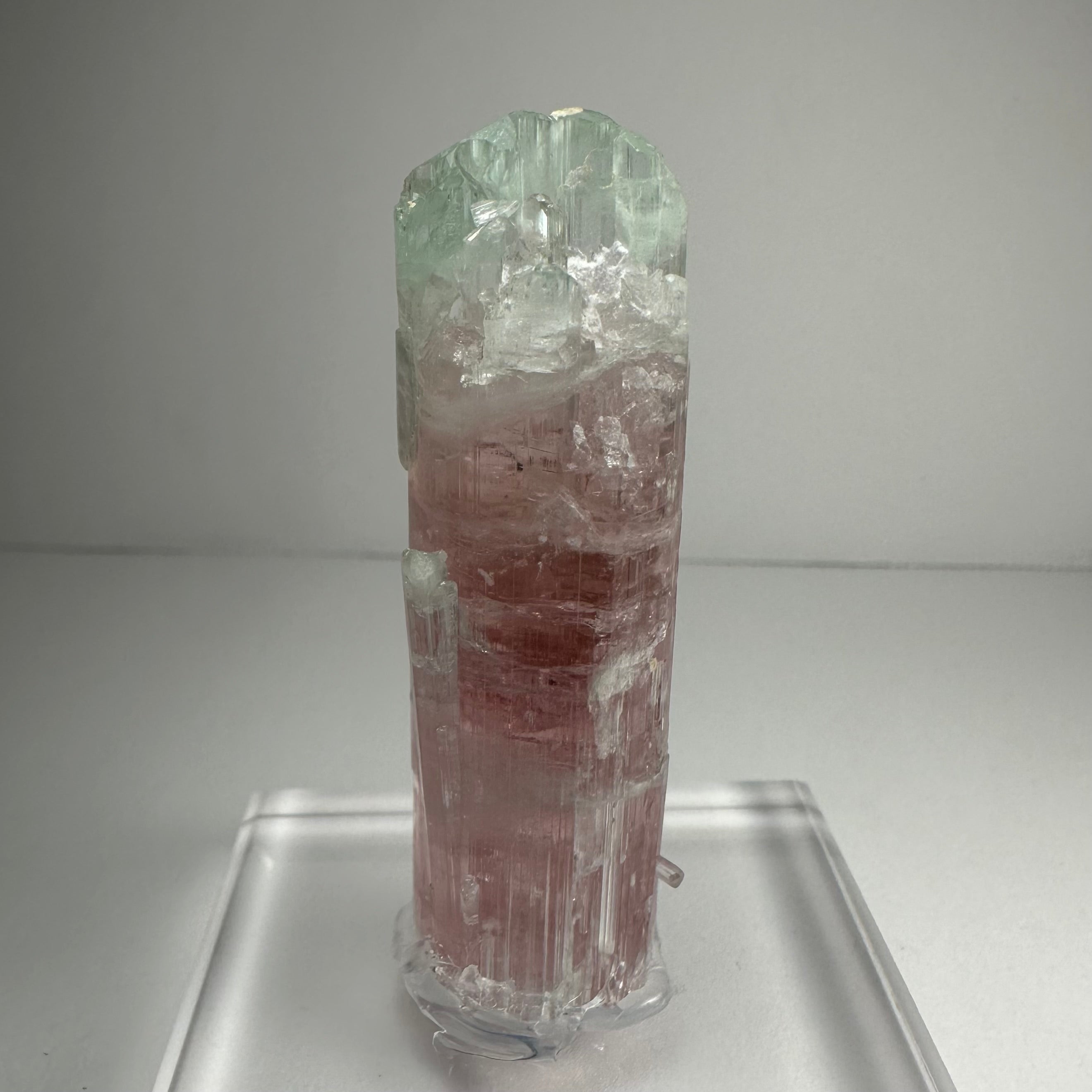 Watermelon Tourmaline by Rare Earth Gallery - product image 3 for Resin Society