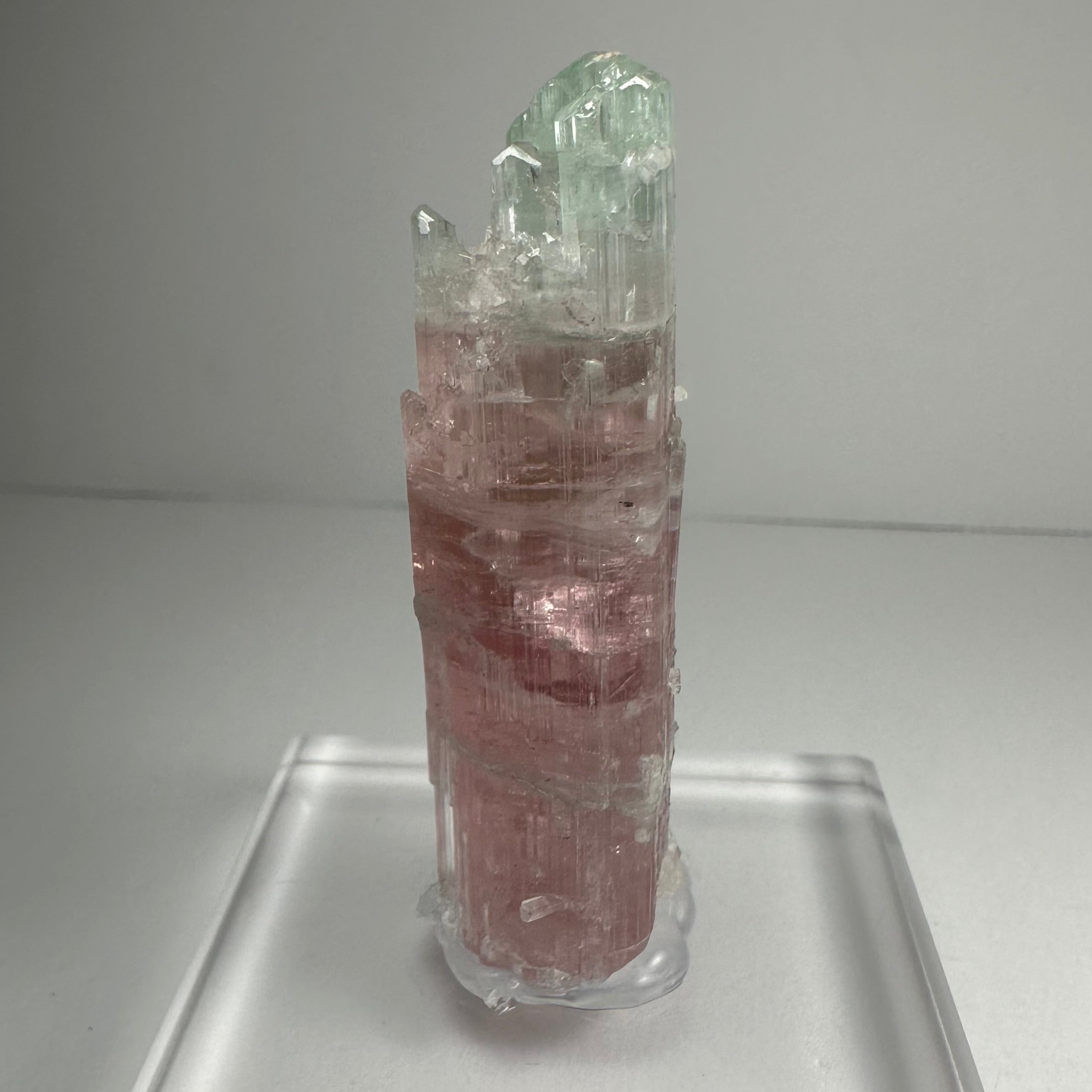 Watermelon Tourmaline by Rare Earth Gallery - product image 4 for Resin Society