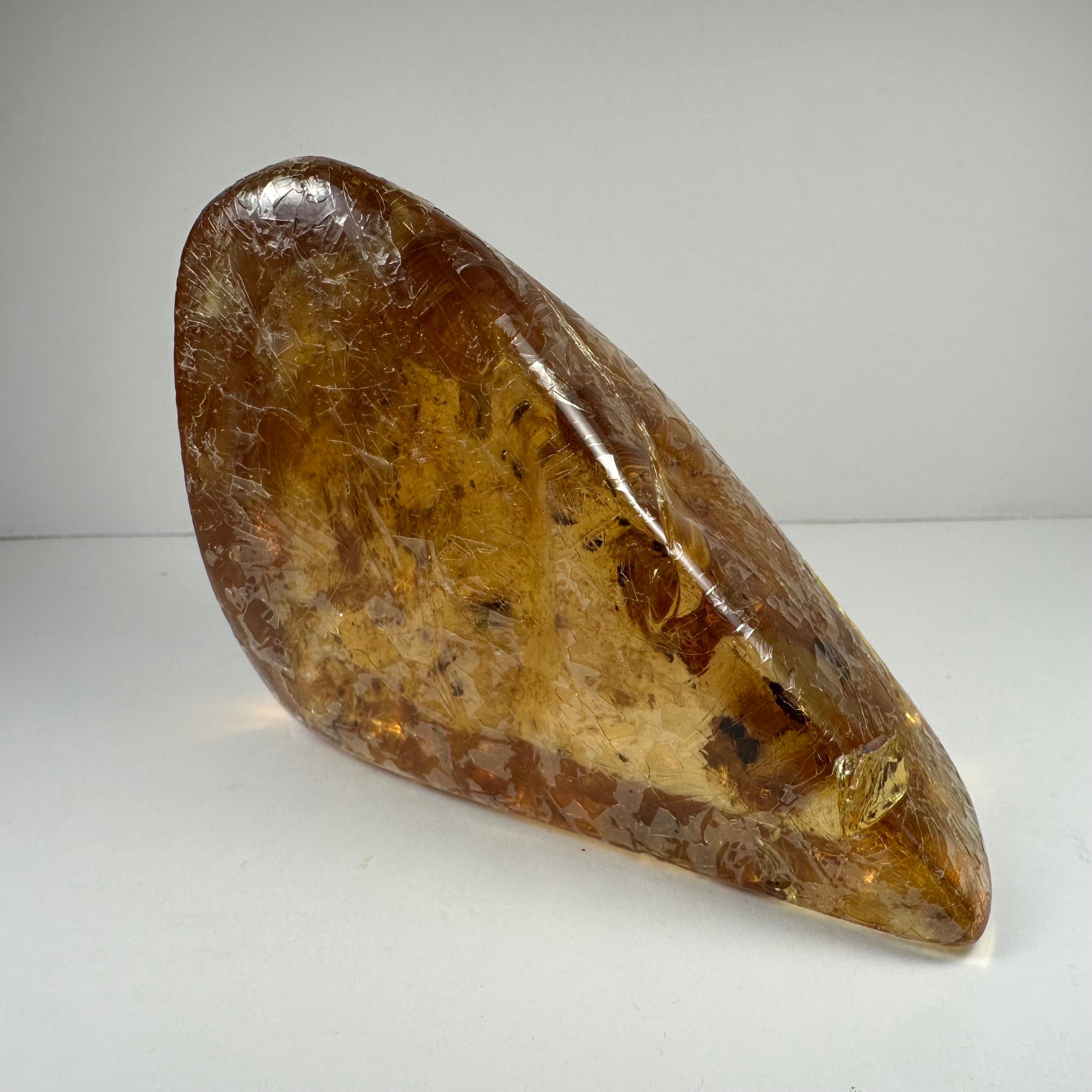 Colombian Amber with Insects by Rare Earth Gallery - product image 2 for Resin Society