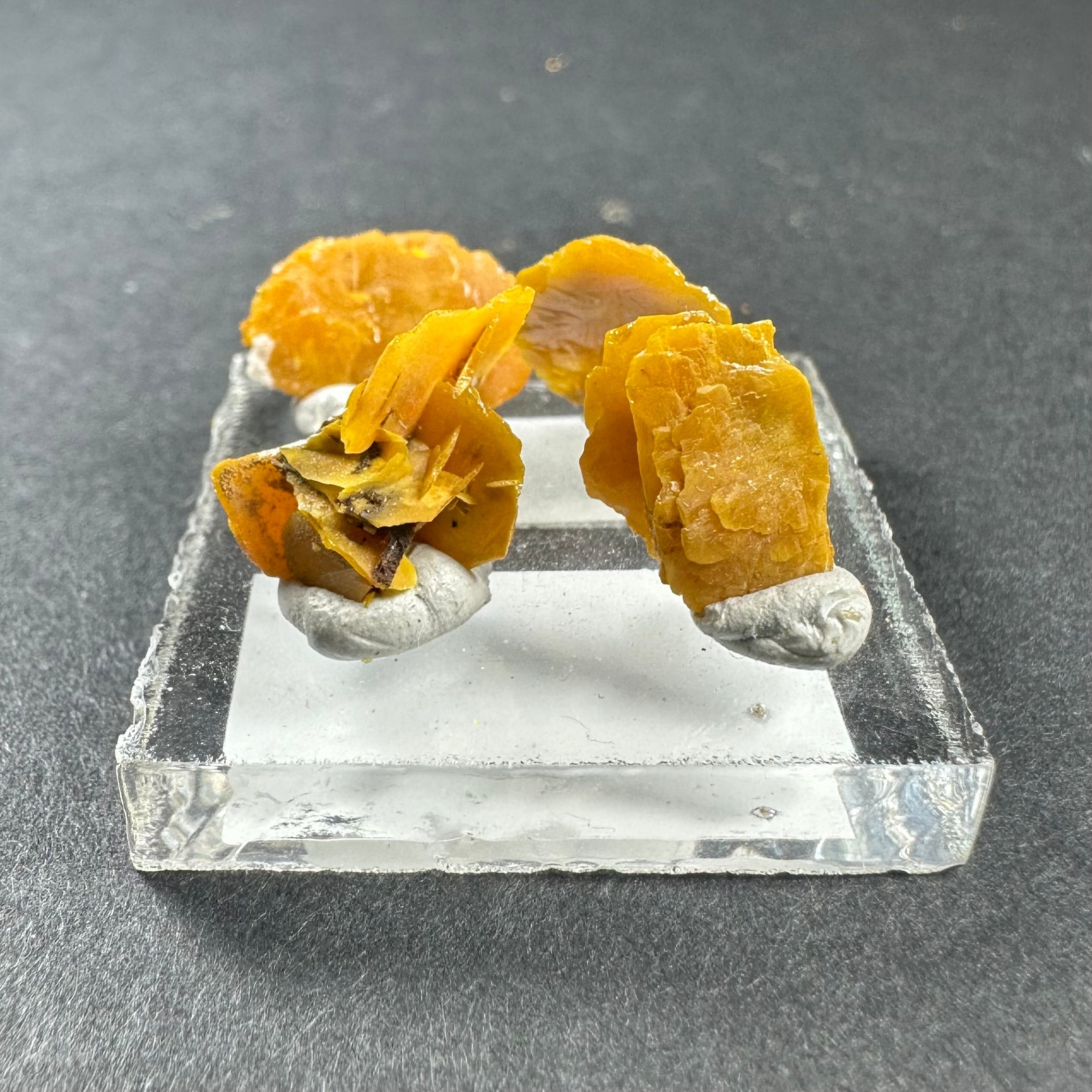 Micro Wulfenite crystal clusters on a small acrylic square against a neutral background