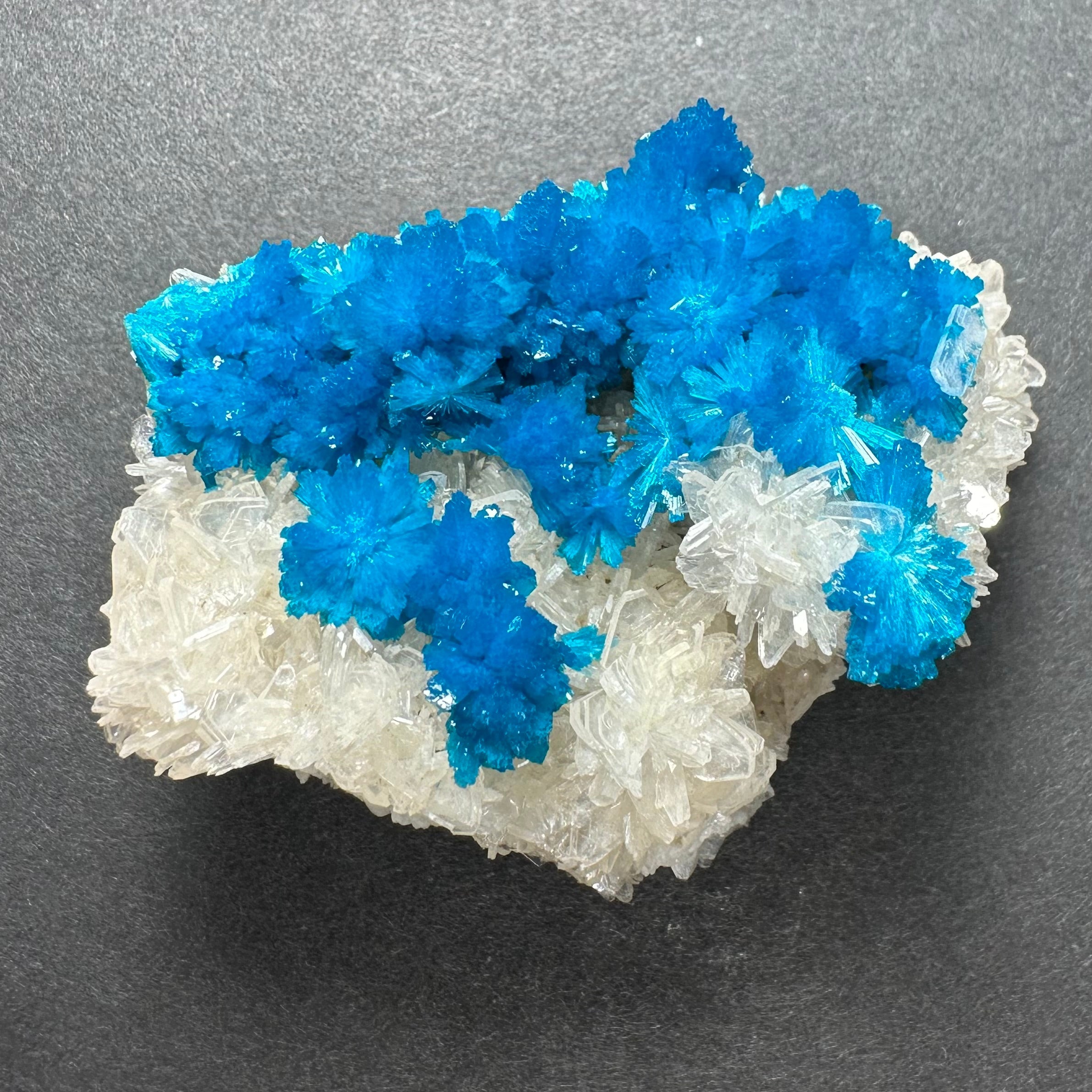 Cavansite with Stilbite on Matrix from Pune, Maharashtra, India by Rare Earth Gallery - product image 4 for Resin Society