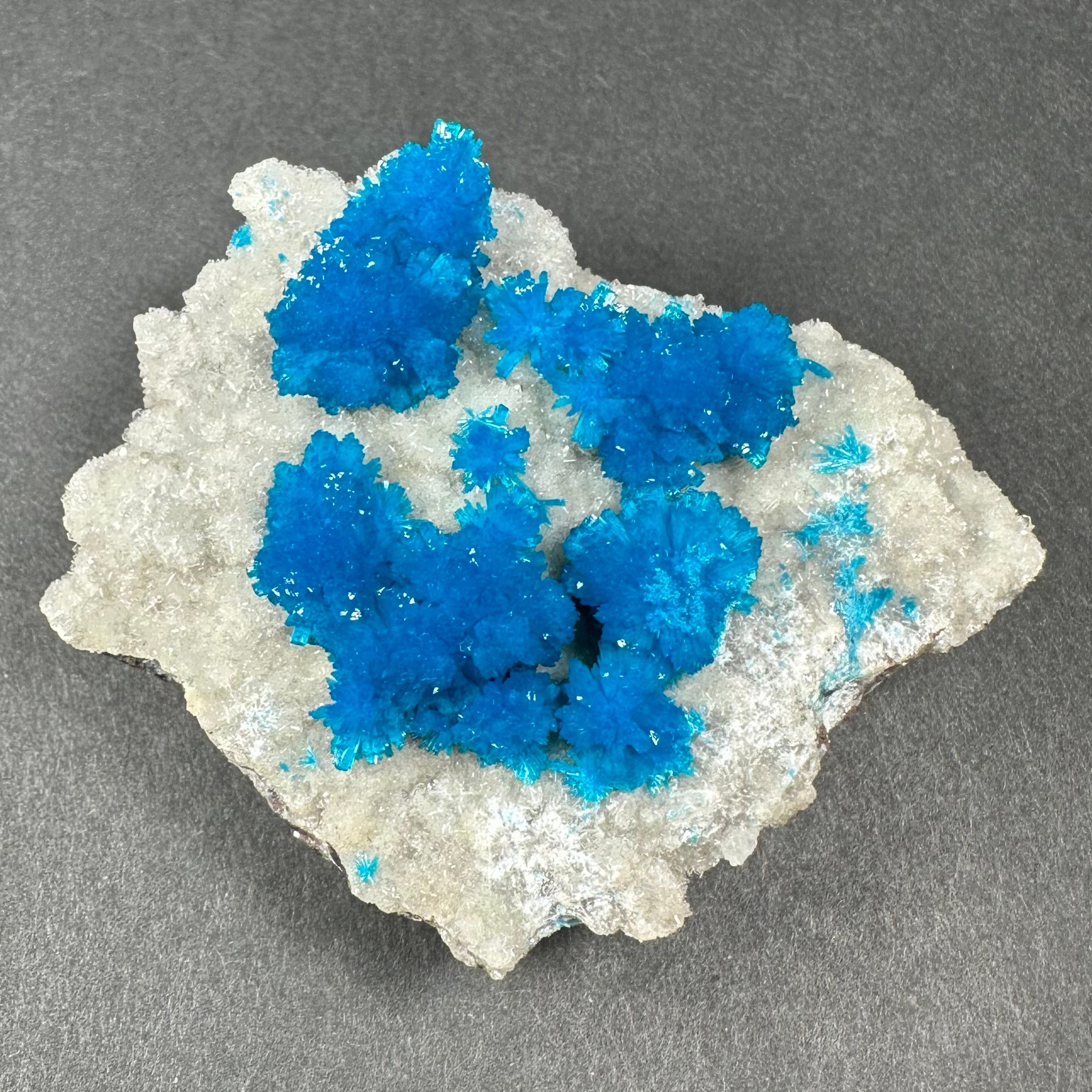 Cavansite with White Stilbite on Matrix Maharashtra, Pune, India by Rare Earth Gallery - product image 3 for Resin Society