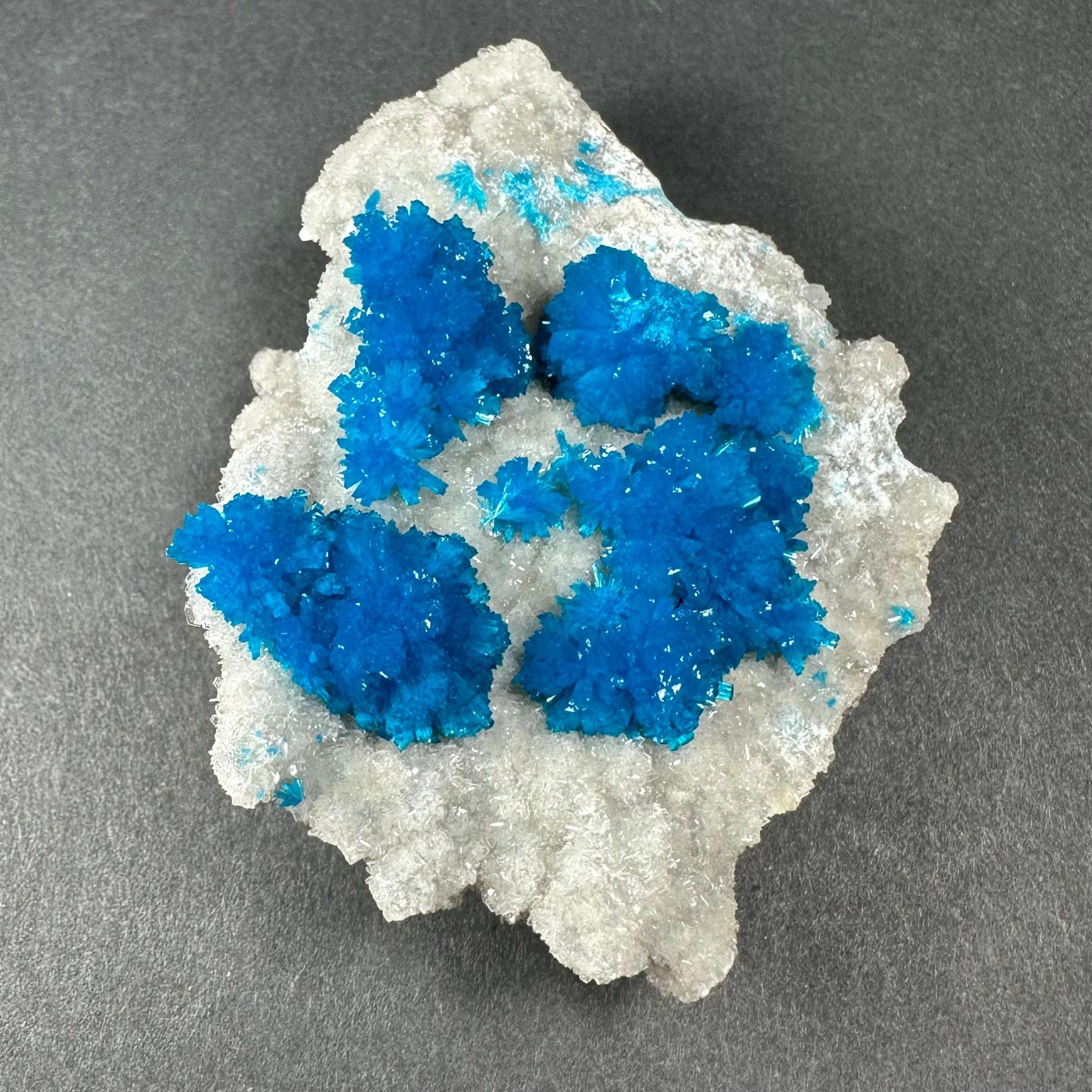Cavansite with White Stilbite on Matrix Maharashtra, Pune, India by Rare Earth Gallery - product image 4 for Resin Society