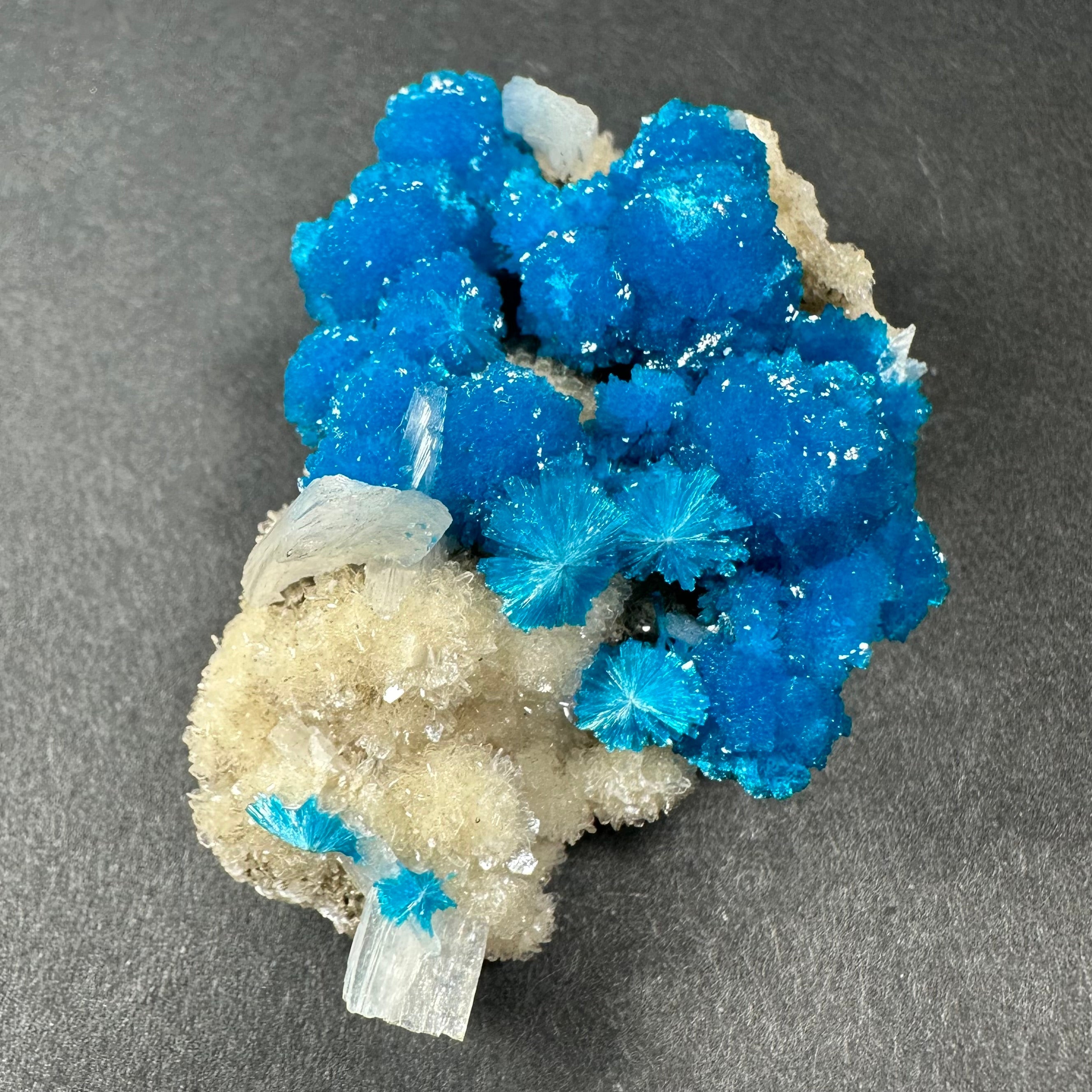 Cavansite with White Stilbite on Matrix from Maharashtra, Pune, India by Rare Earth Gallery - product image 2 for Resin Society