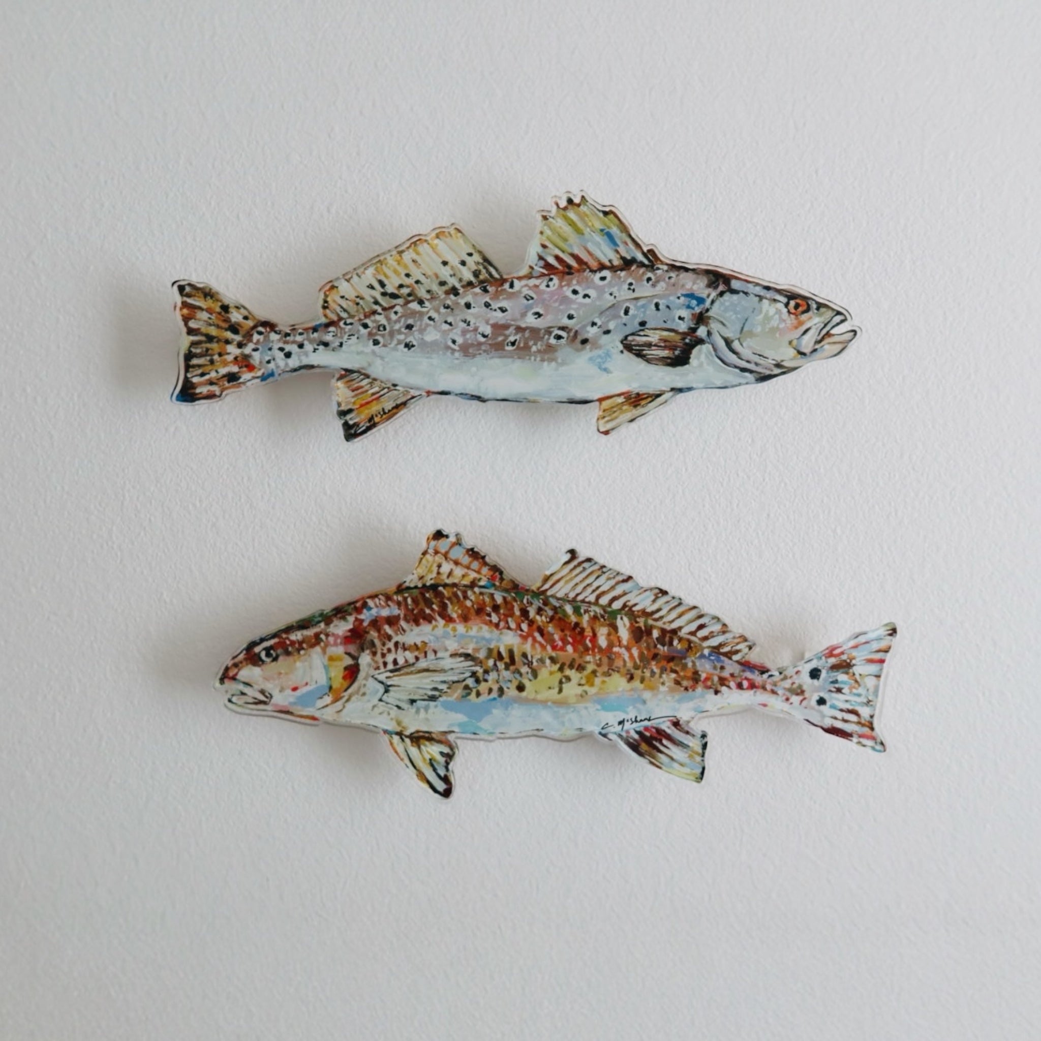 "Speckled Sea trout" Acrylic Wall Contour