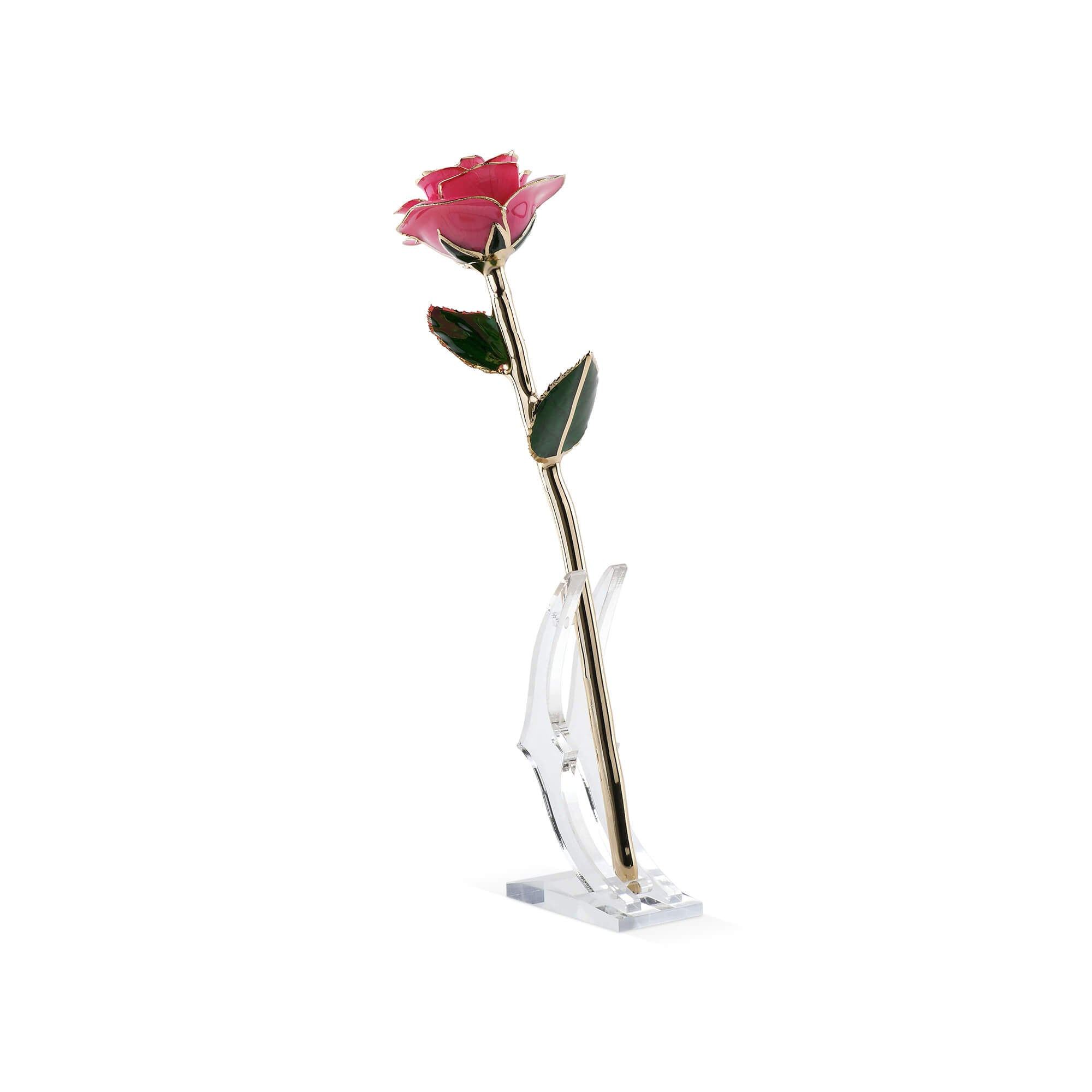 Timeless Rose (Pink) by ROSEPHORIA in clear crystal glass dome showing preserved pink rose dipped in 24k gold