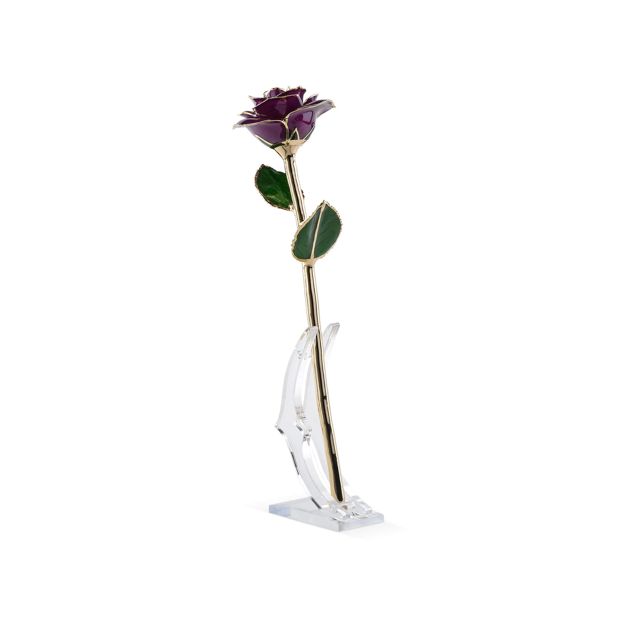 Timeless Rose Purple preserved natural rose coated with 24K gold, displayed elegant and upright