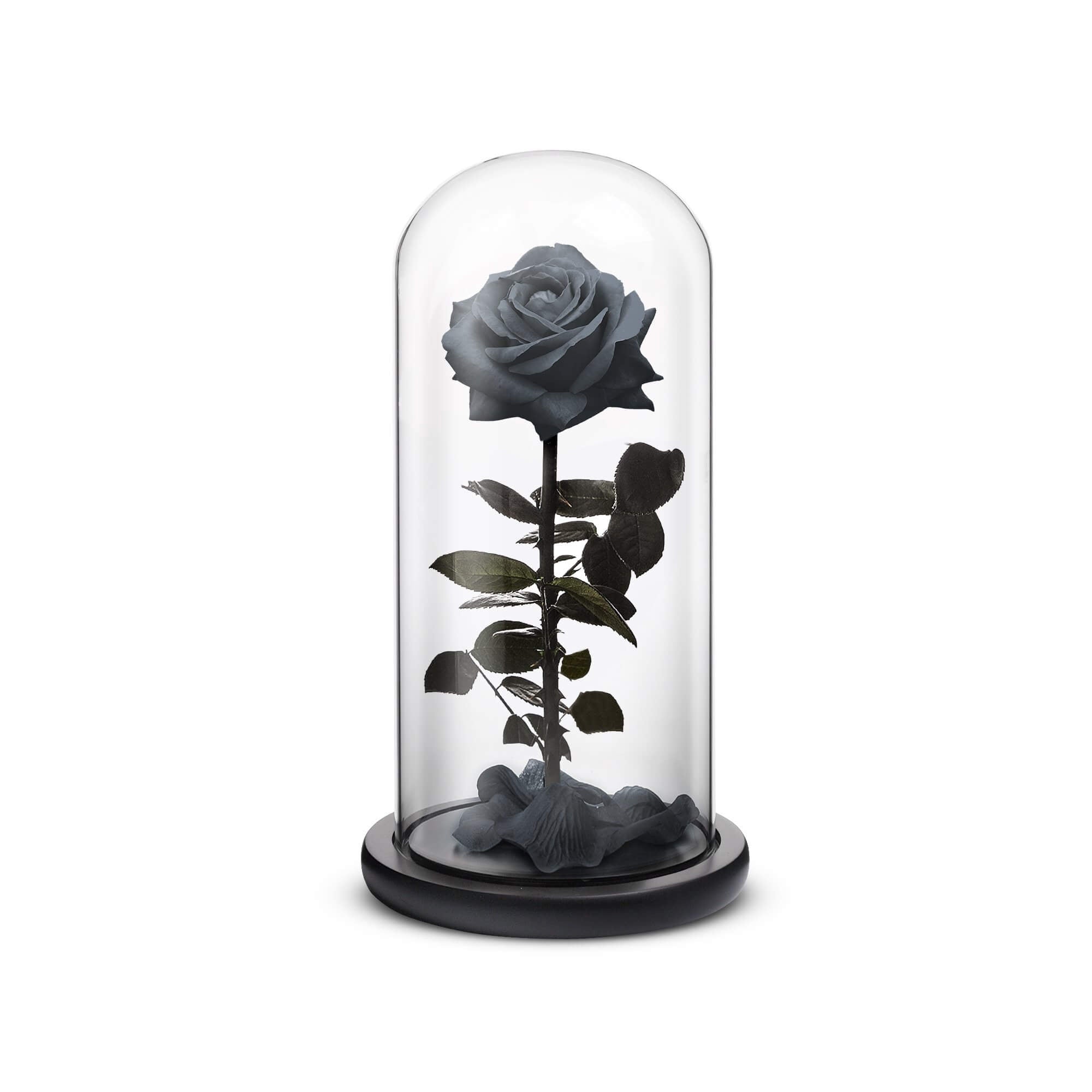 Everlasting Rose (Black) by ROSEPHORIA - main product image for Resin Society