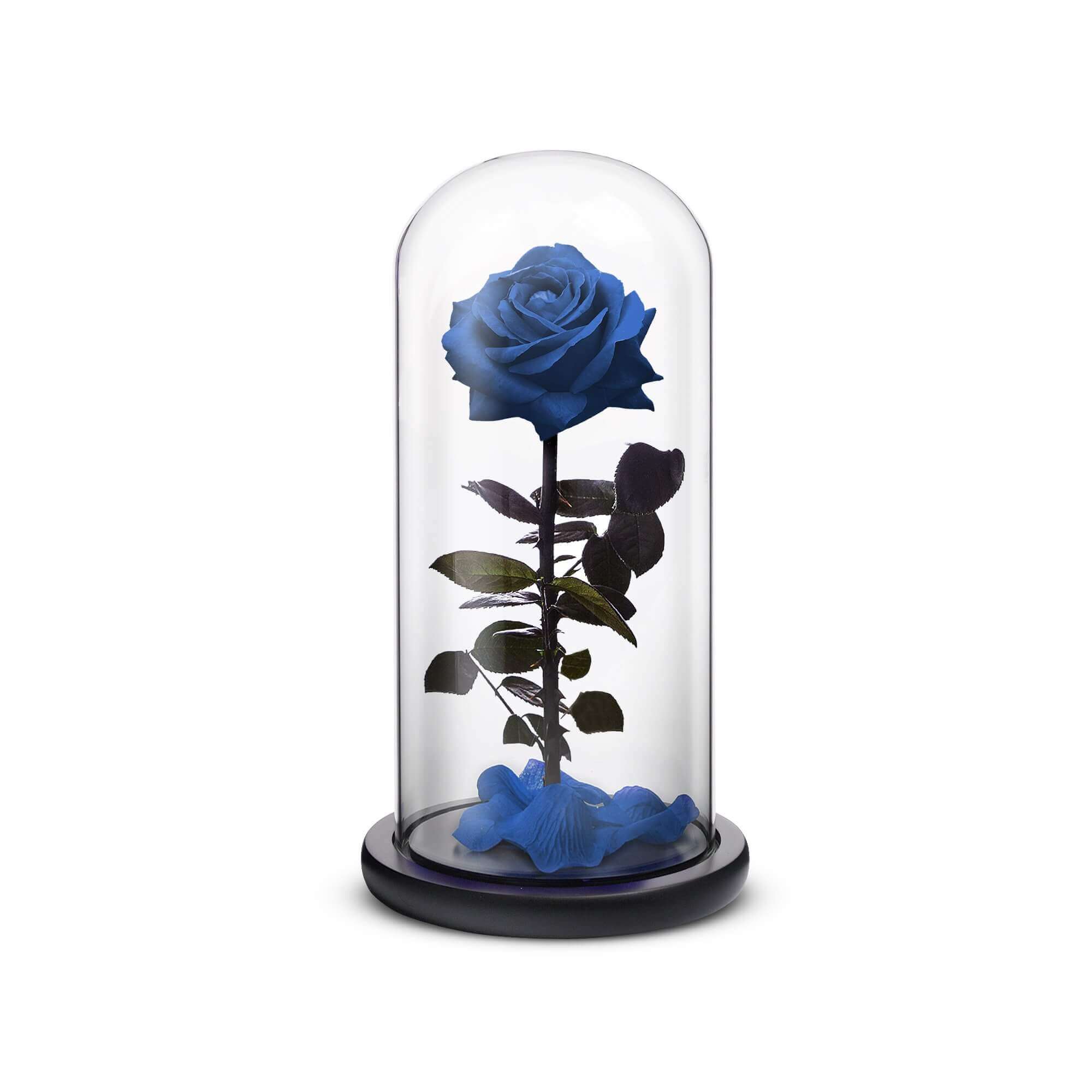 Everlasting Rose (Blue) by ROSEPHORIA - main product image for Resin Society