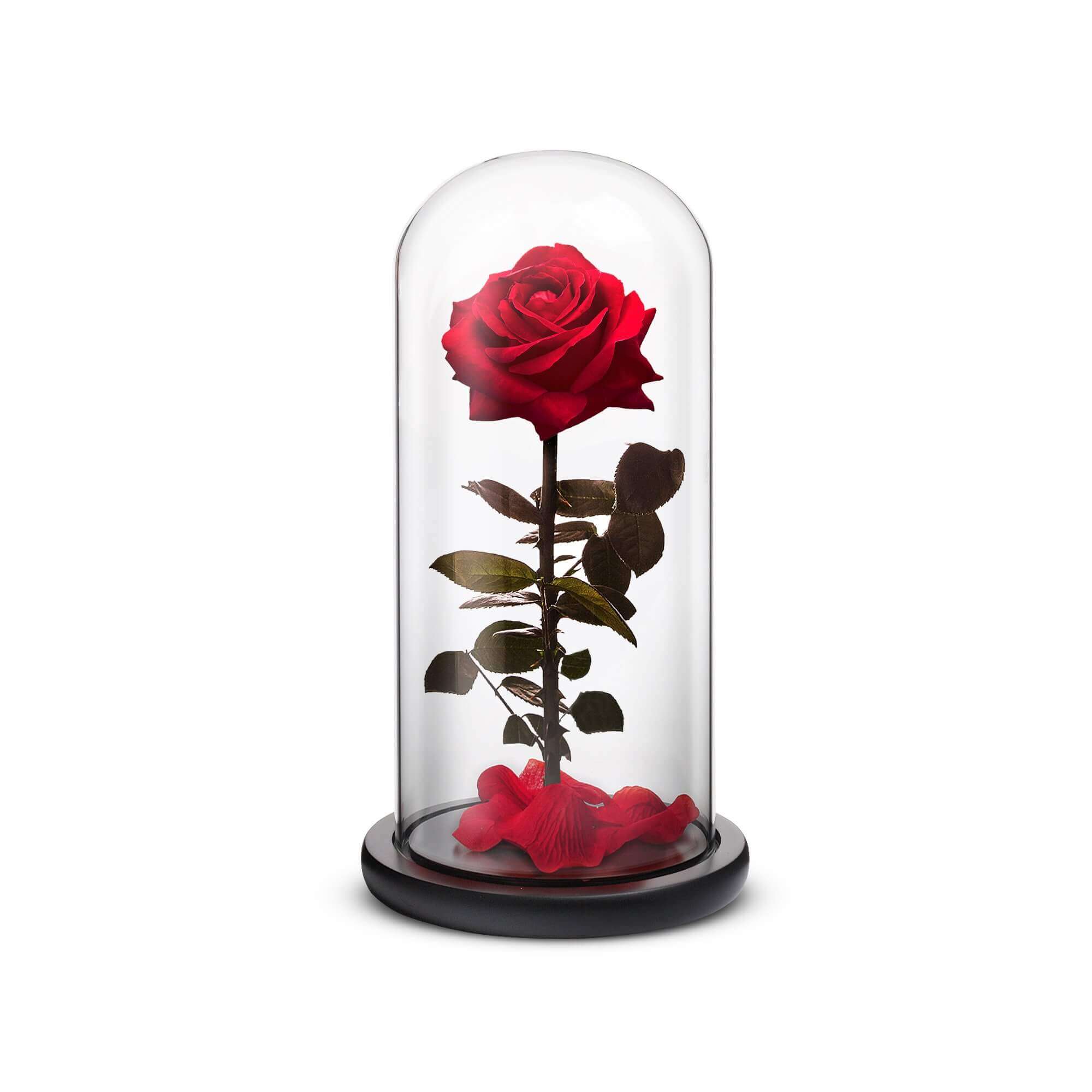 Everlasting Rose (Red) by ROSEPHORIA - main product image for Resin Society