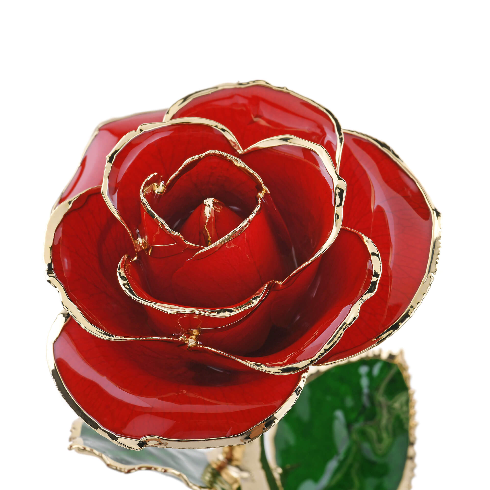 Timeless Rose (Red) by ROSEPHORIA - product image 3 for Resin Society