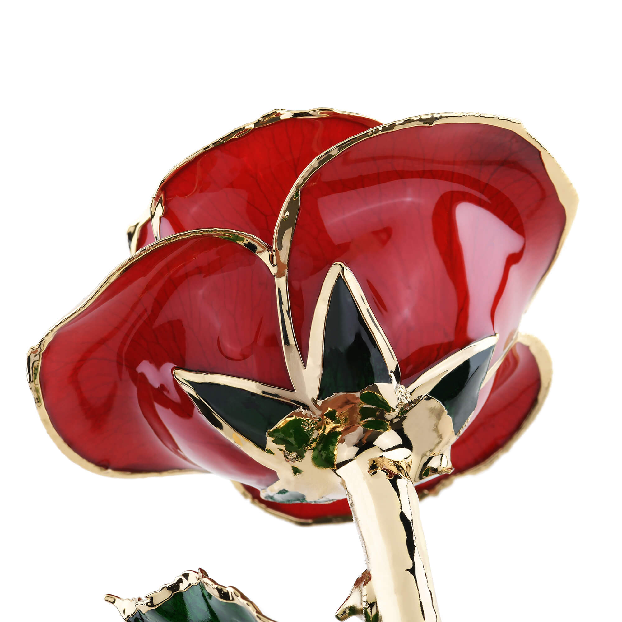 Timeless Rose (Red) by ROSEPHORIA - product image 4 for Resin Society