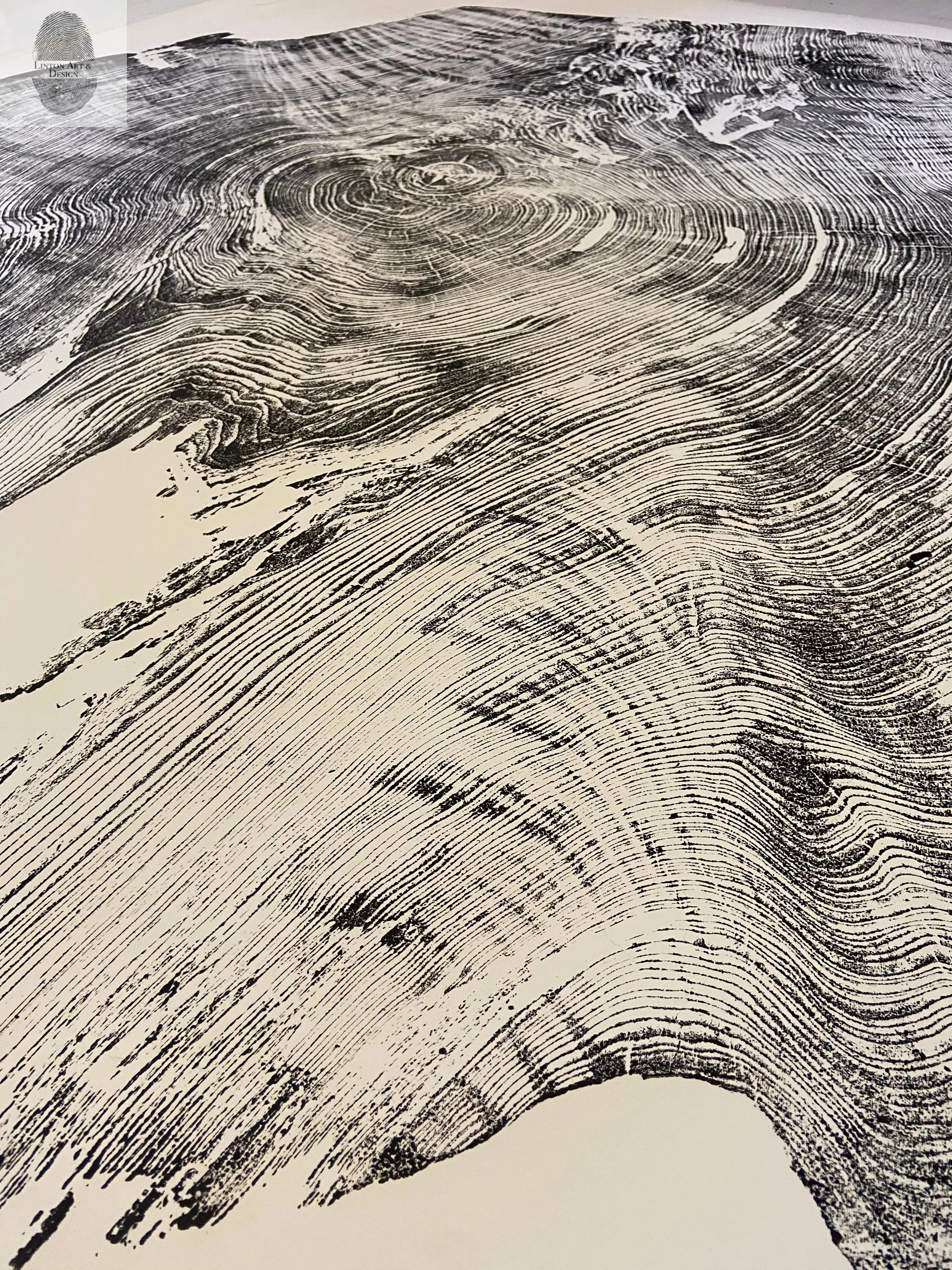Redwood Tree, Tree Ring Print, California Coast, Wood Slice Wall Art by lintonart - product image 3 for Resin Society