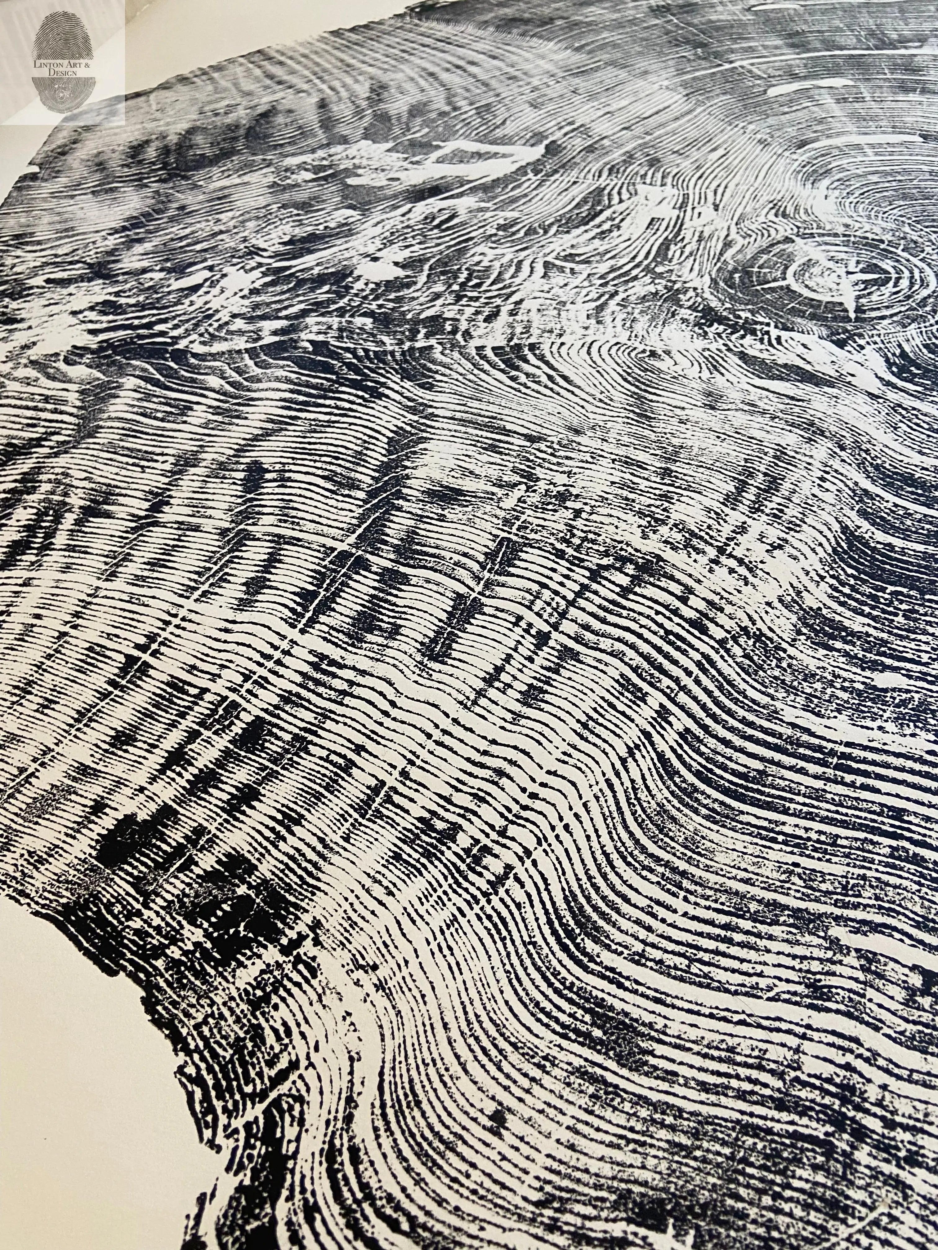 Redwood Tree, Tree Ring Print, California Coast, Wood Slice Wall Art by lintonart - product image 6 for Resin Society