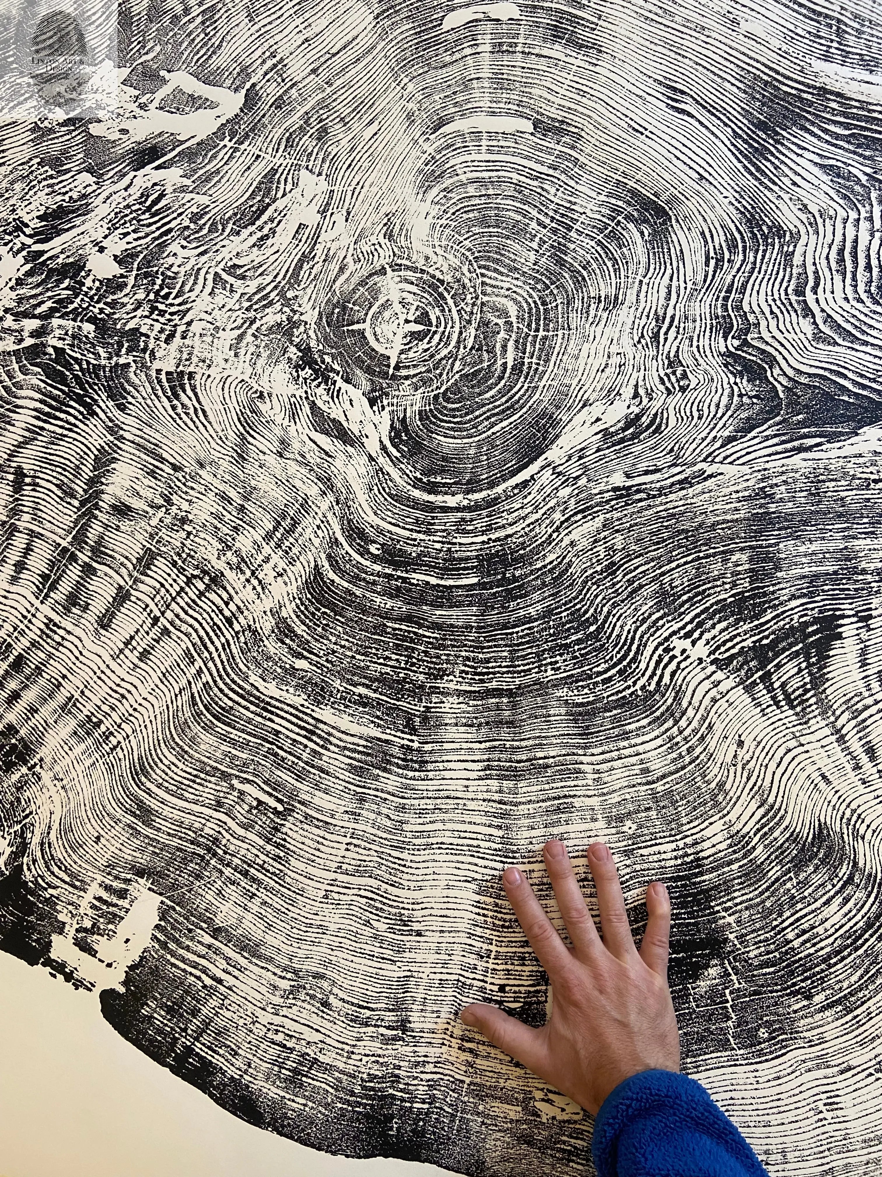 Redwood Tree, Tree Ring Print, California Coast, Wood Slice Wall Art by lintonart - product image 7 for Resin Society