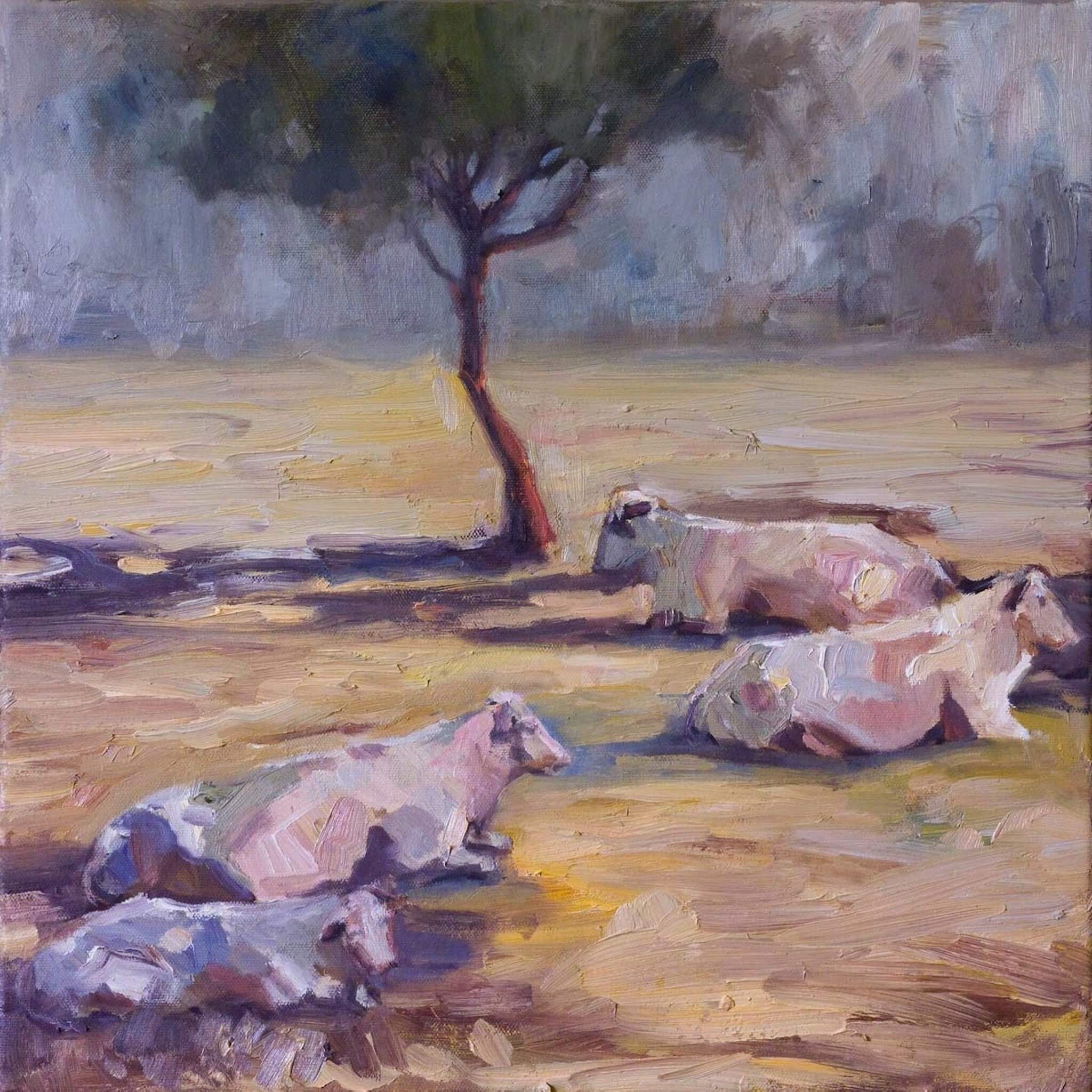 Resting Cows Artist Enhanced Canvas Print by John Beard Collection - main product image for Resin Society